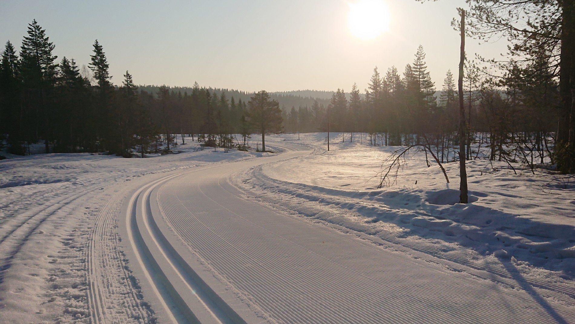 Slett ikke verst her ute langs myrene