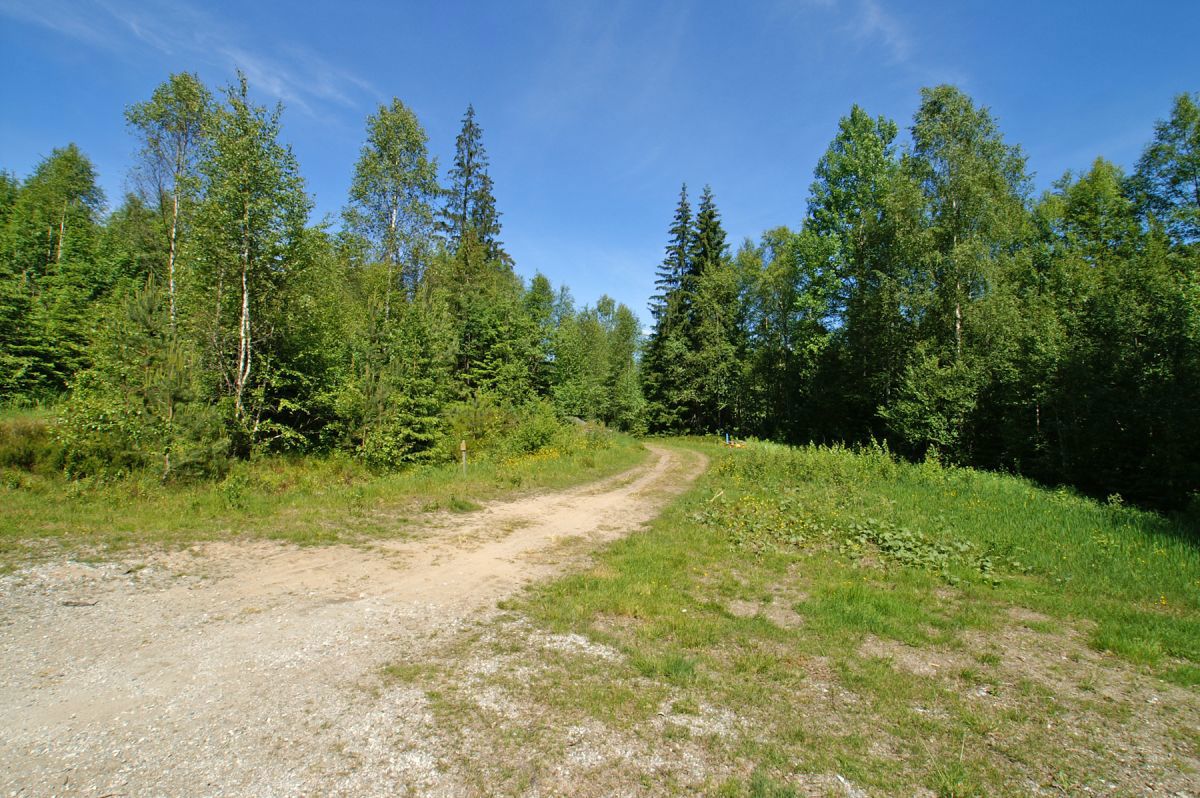 Slutt på skogsbilveien