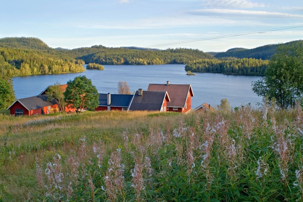 Slutt på sommeren for geiteramsen på Heggelia