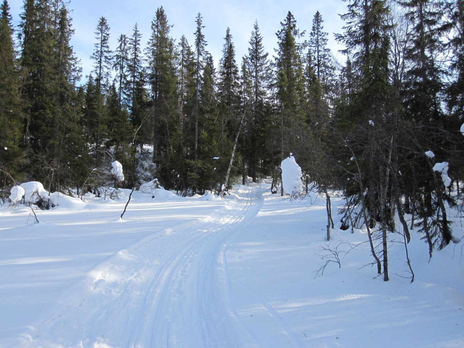 Småkupert alternativ