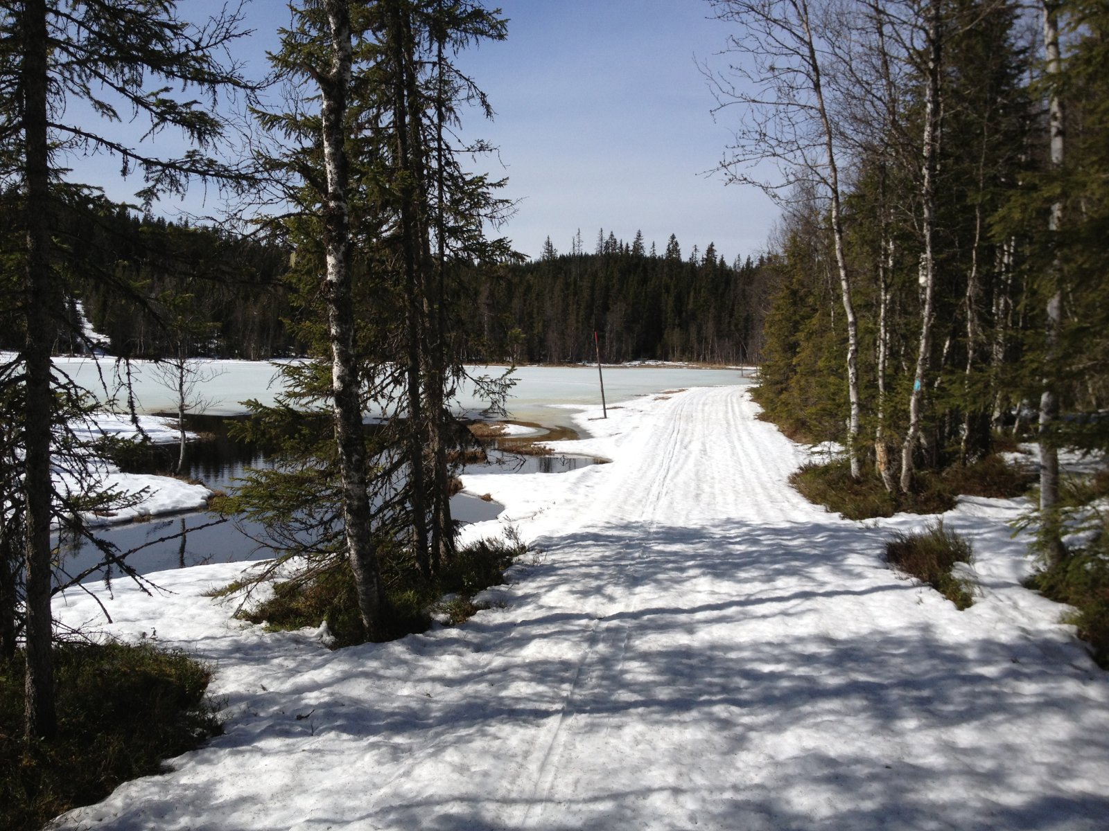 Snart førefall langs Auretjern