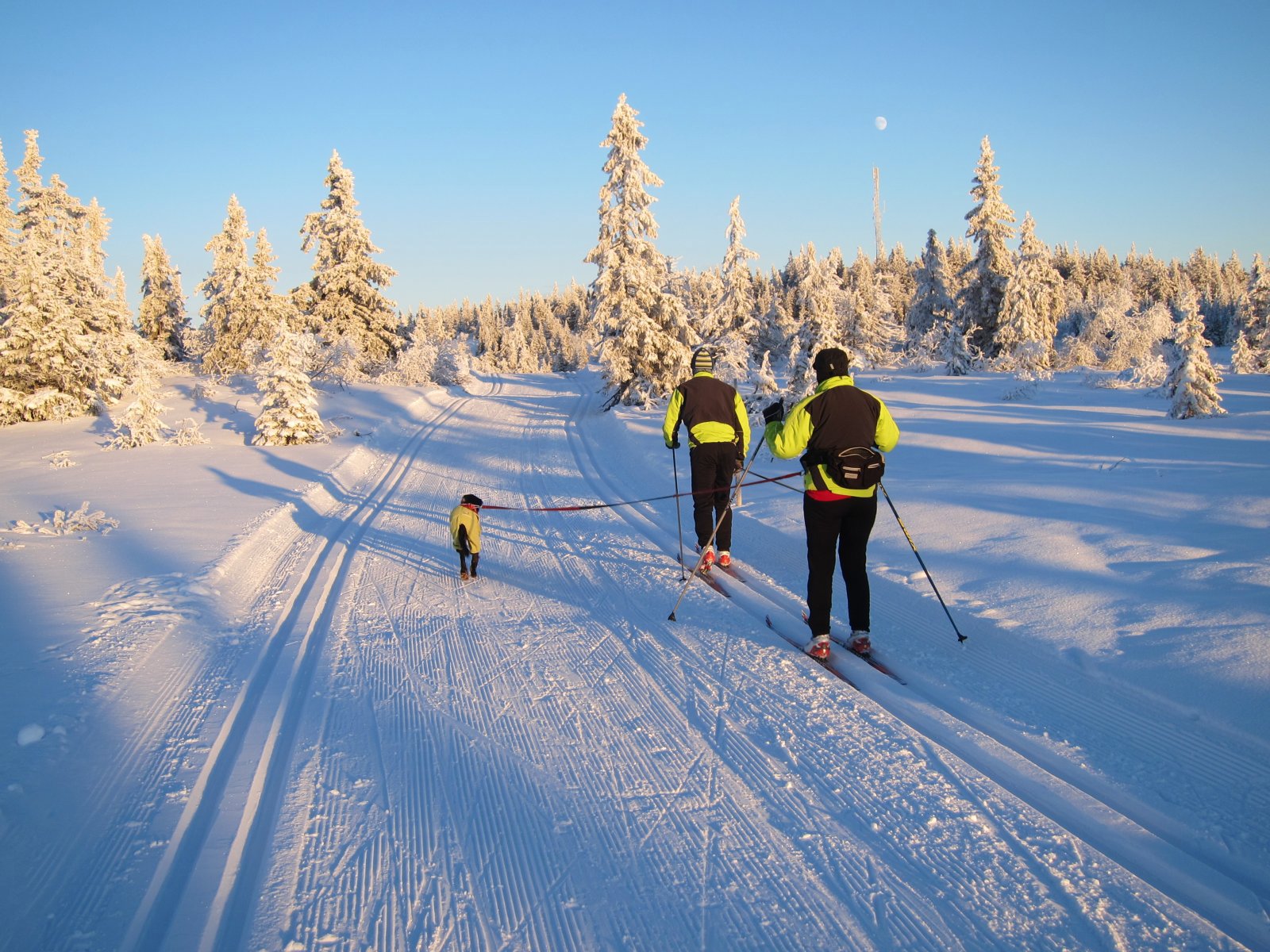 Snart framme på Rausteinshytta