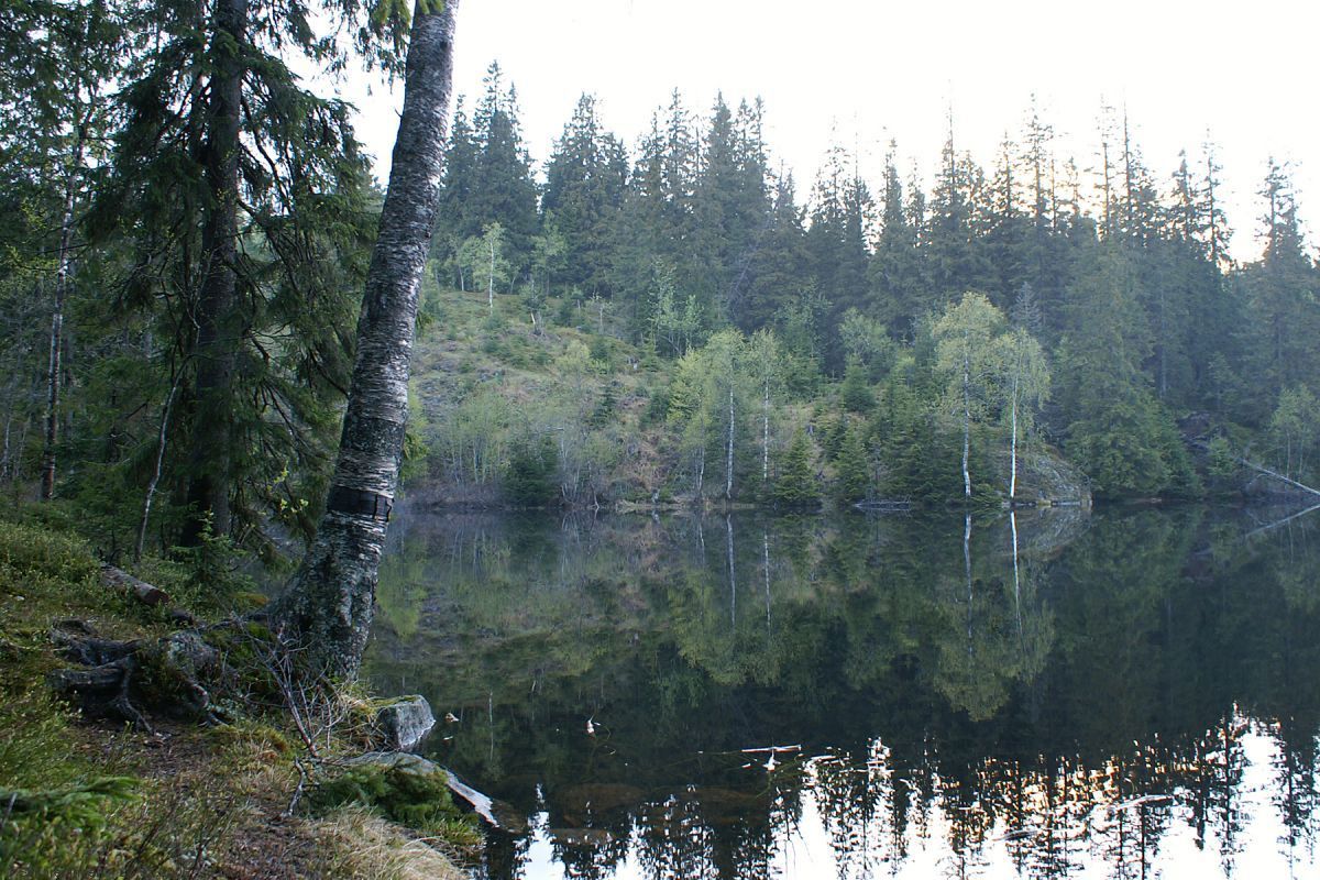 Snart natt ved Østre Torkildstuhøgda