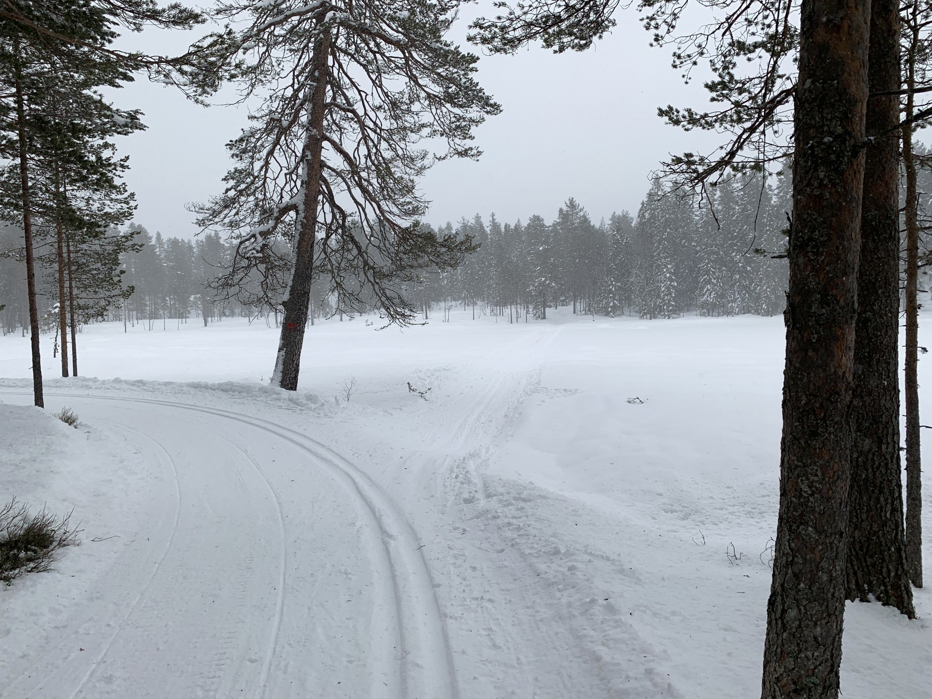 Snarveien over Bjønnputten