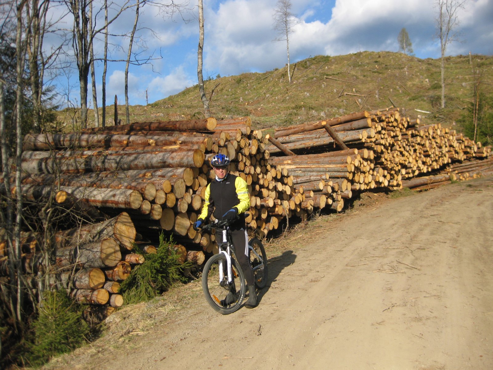 Snauhogst ved Langlia