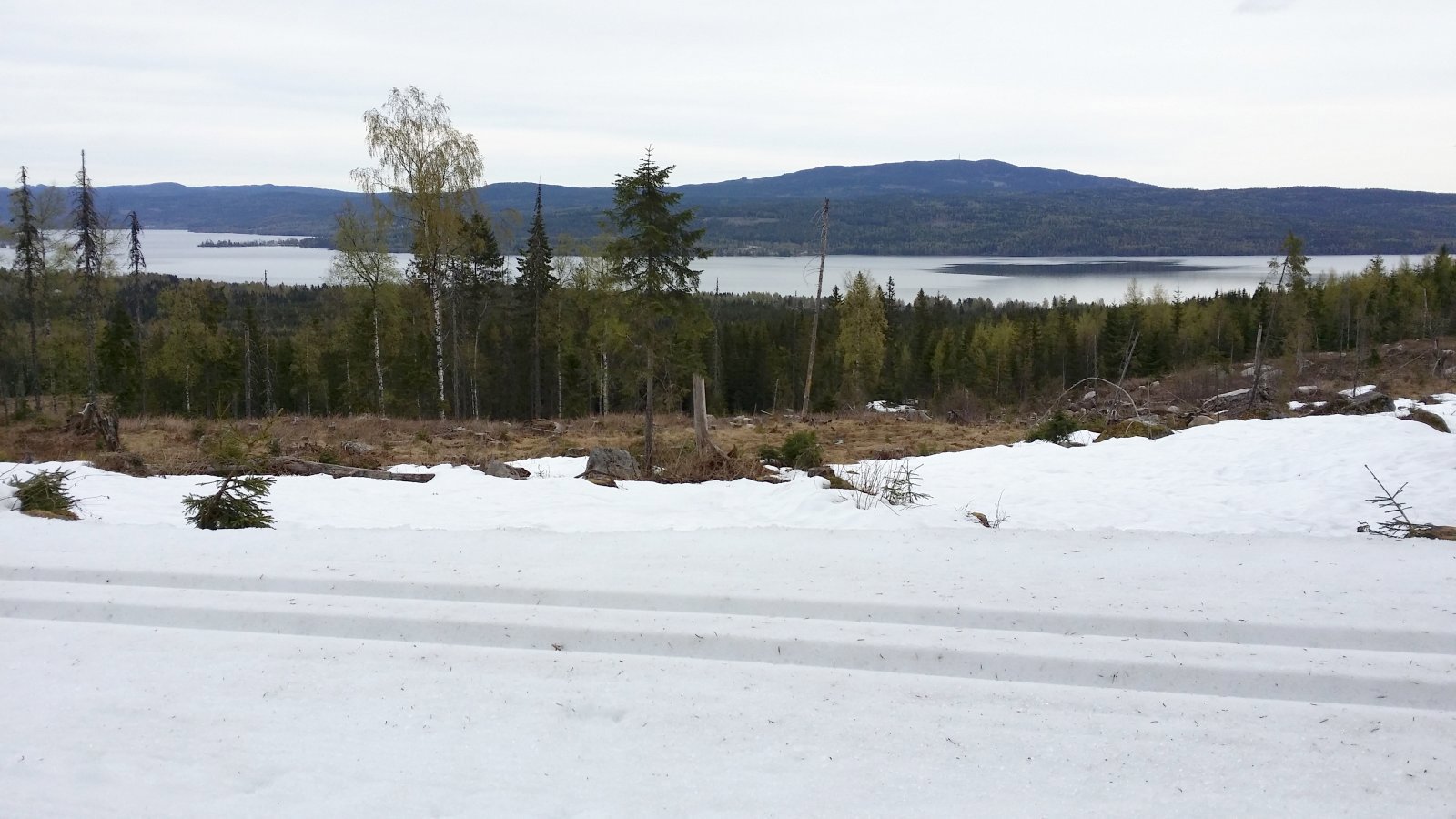 Snø og barmark hånd i hånd