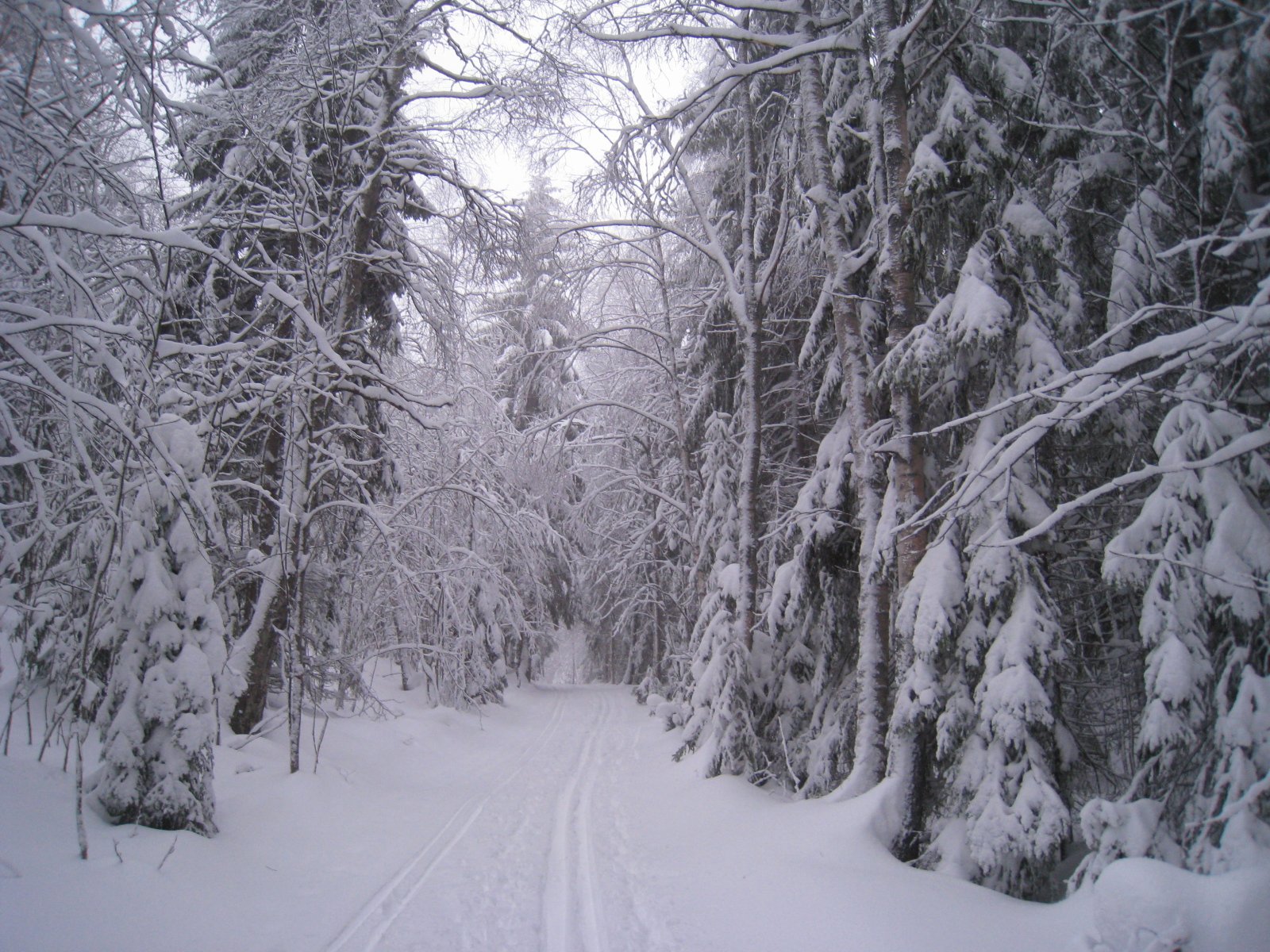Snøtung portal innover Valstadløypen