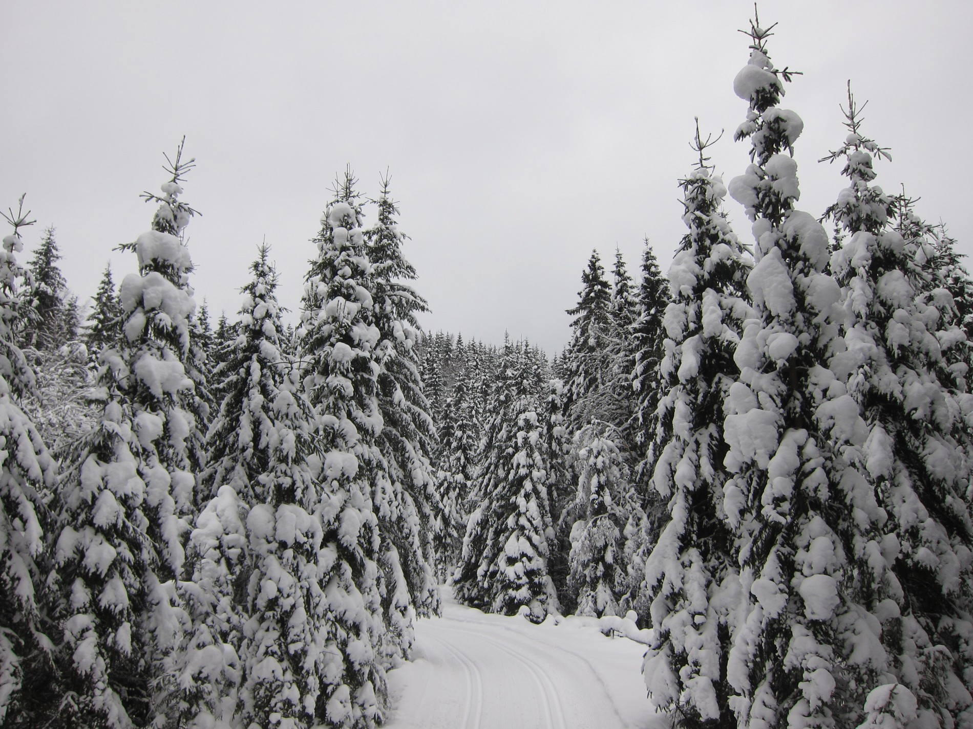 Snøtungt i Finlandsrunden
