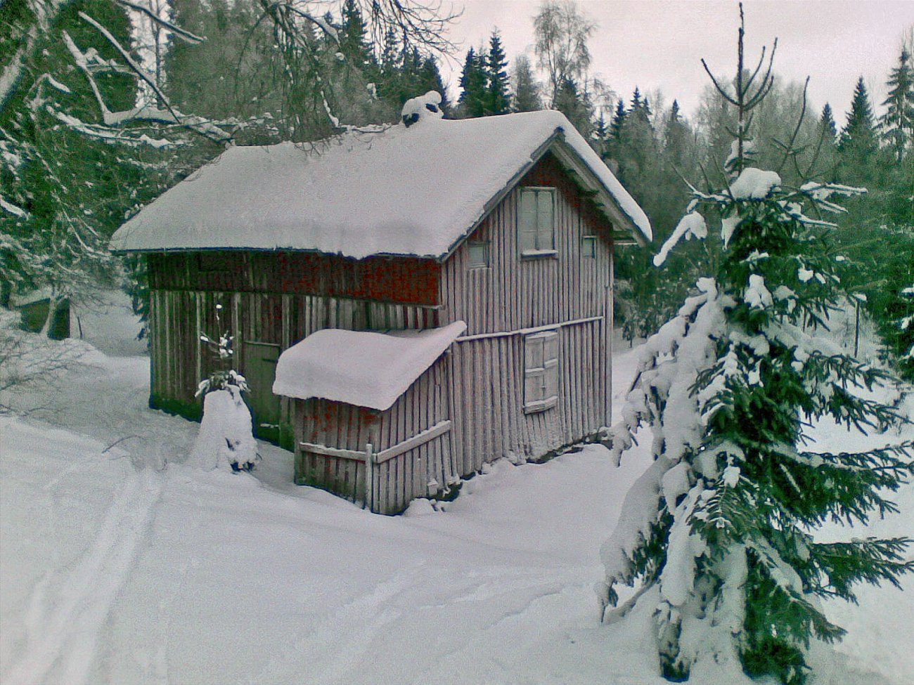 Snøtungt ved Kølabonn