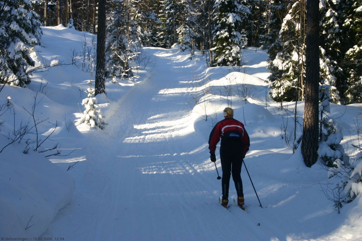 Sol i Måneskinnsløypa