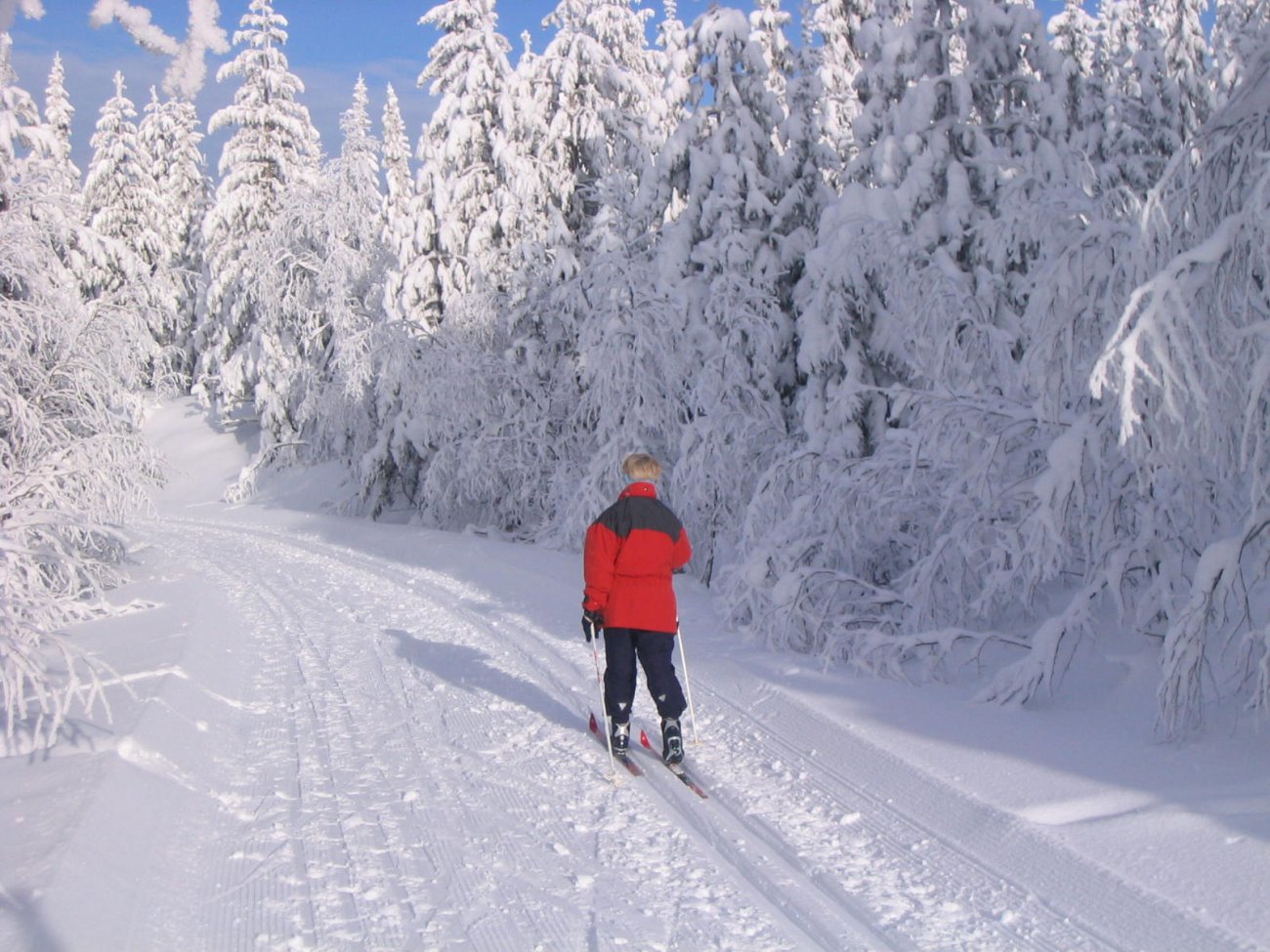 Sol og snø på Spålsveien