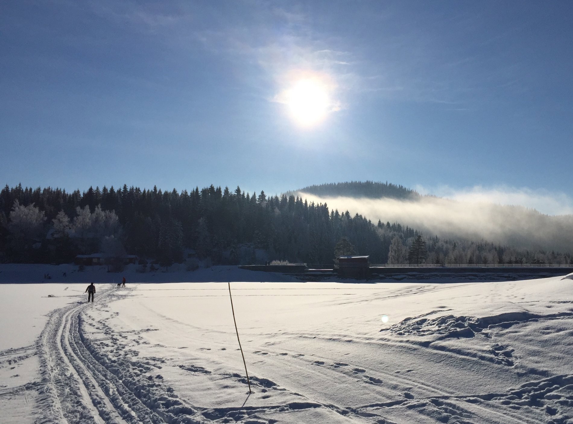 Sol og tåke over Damtjern