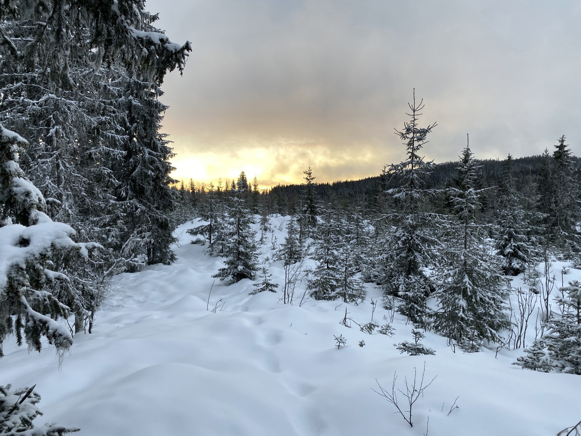 Sola bryter gjennom og det klarner opp