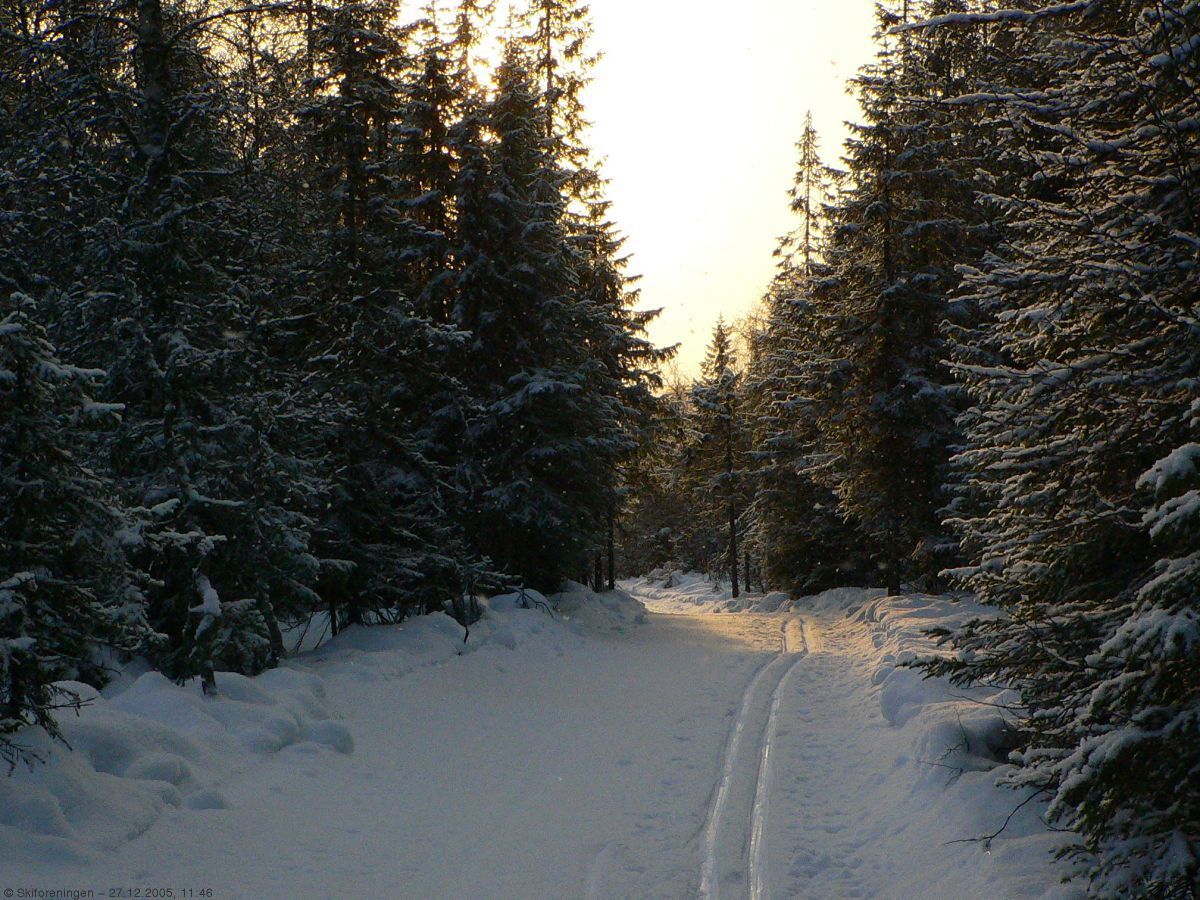 Sola bryter gjennom ved Ølja