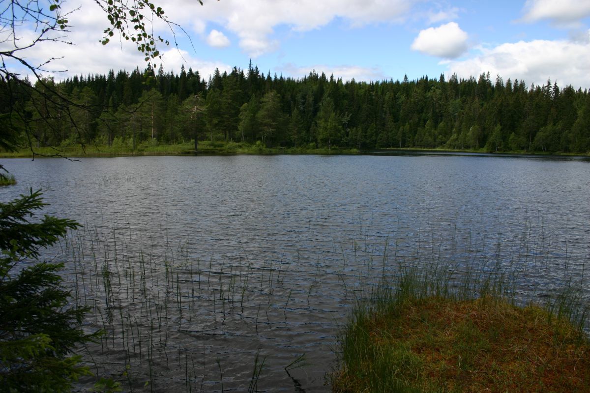 Soldag ved Manntjern