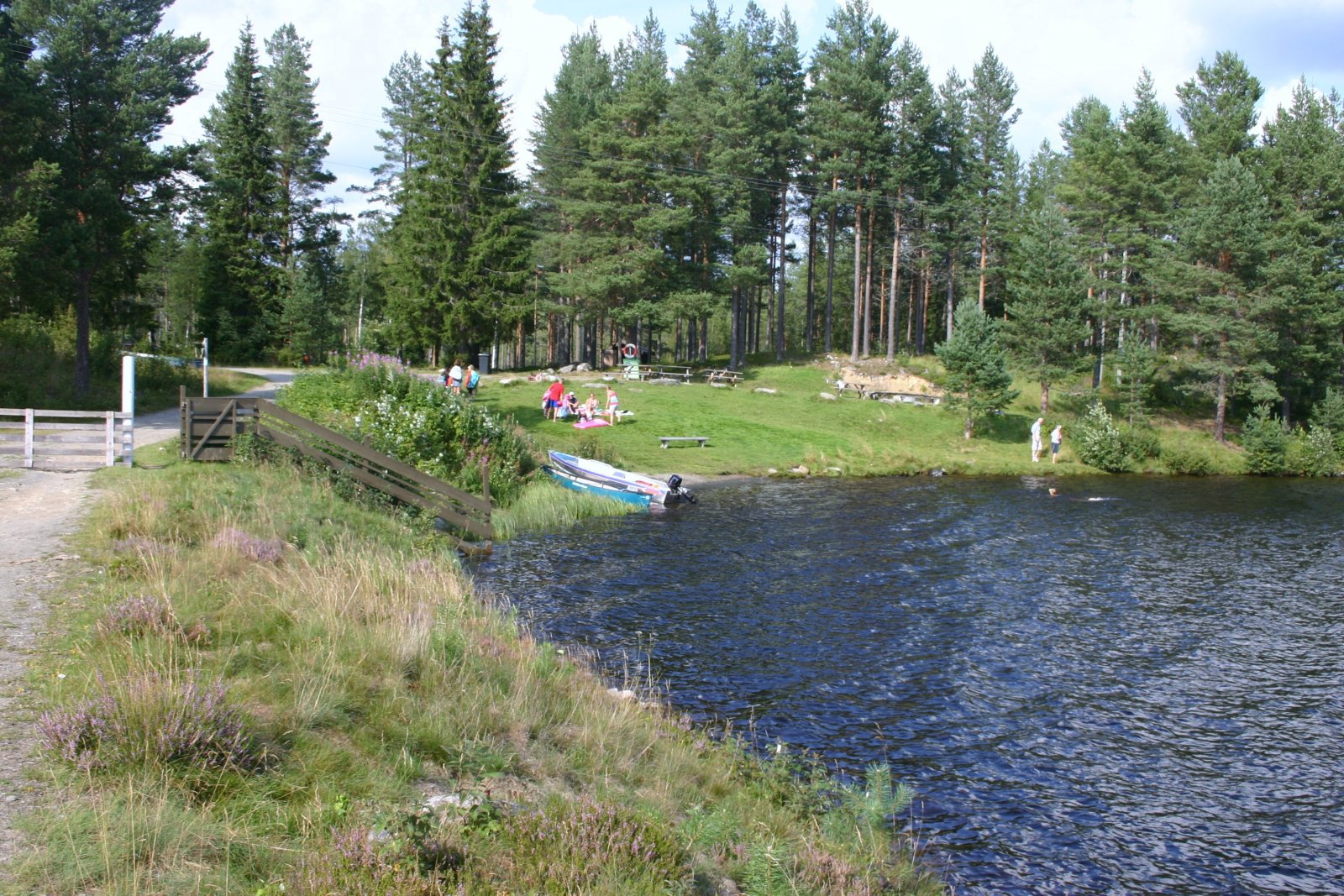 Soldag ved Vassenden