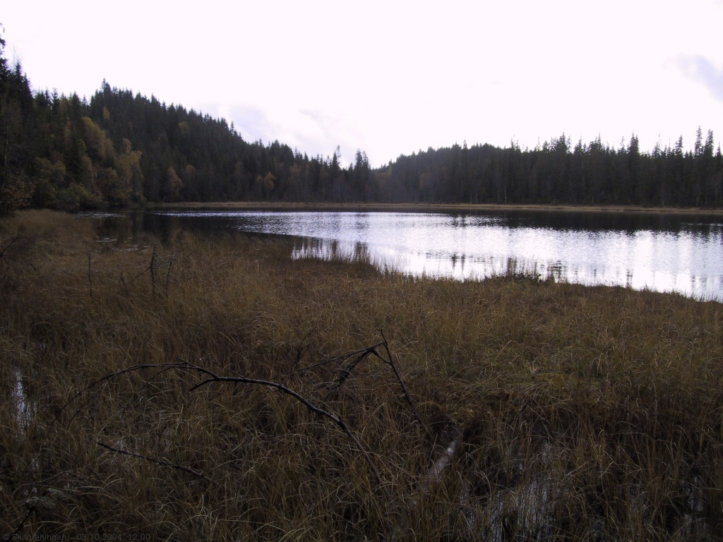 Solgløtt over Trantjern