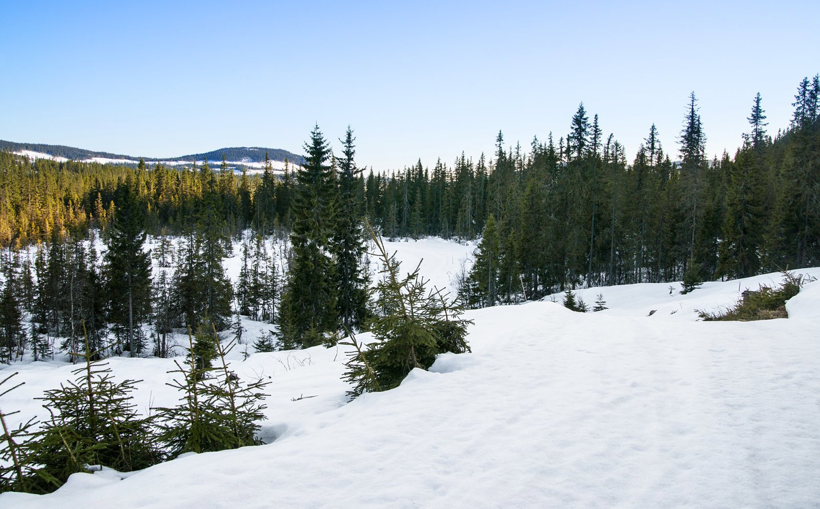 Solgløtt ved Steinholen