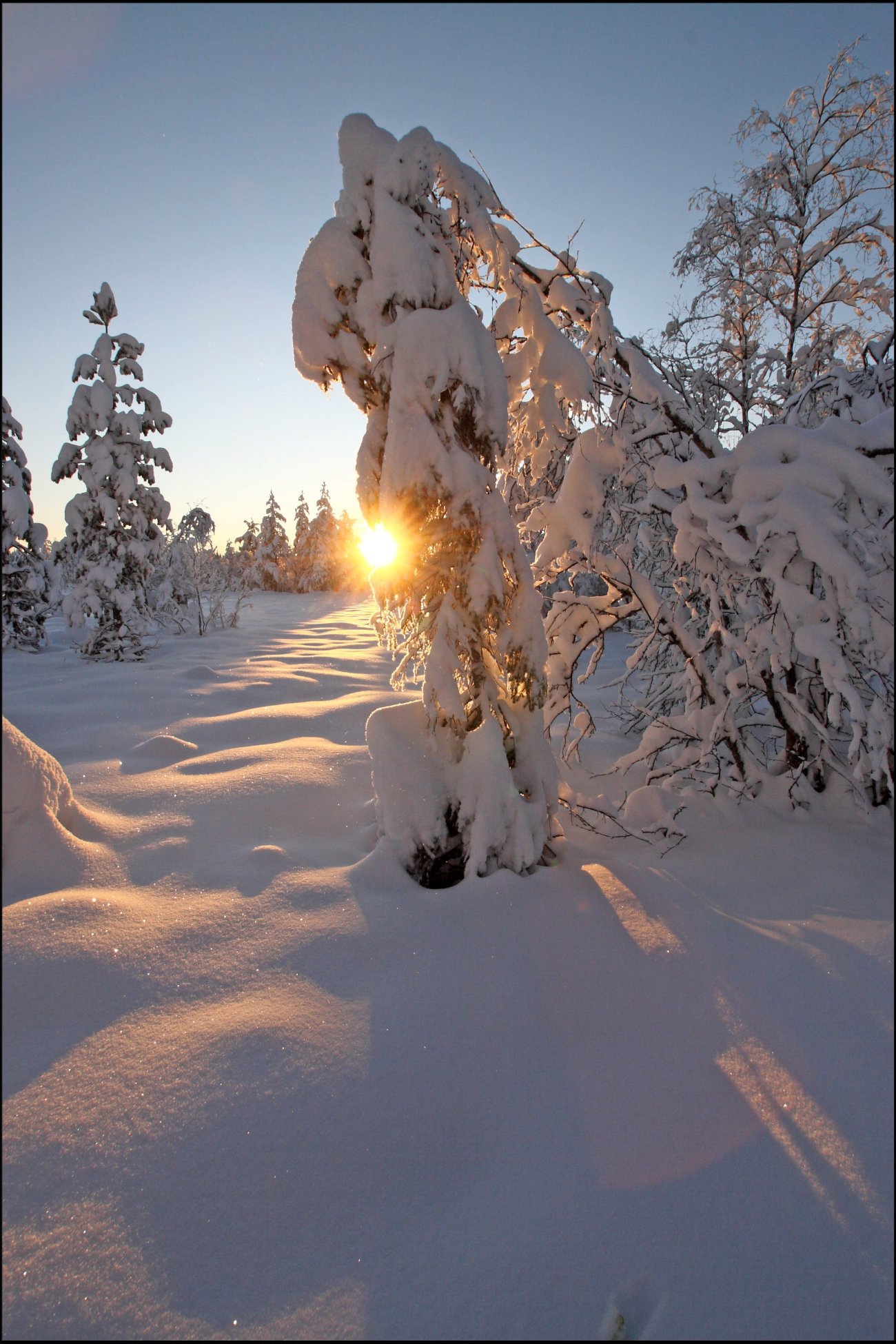Solnedgang over myra