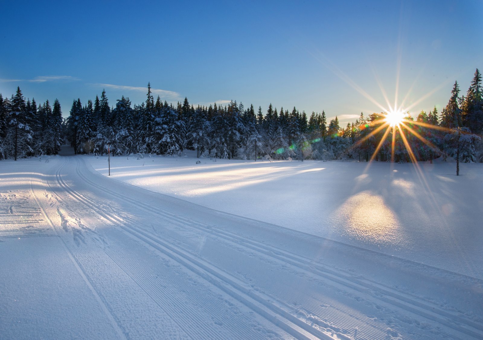 Solnedgang på Åboråsen