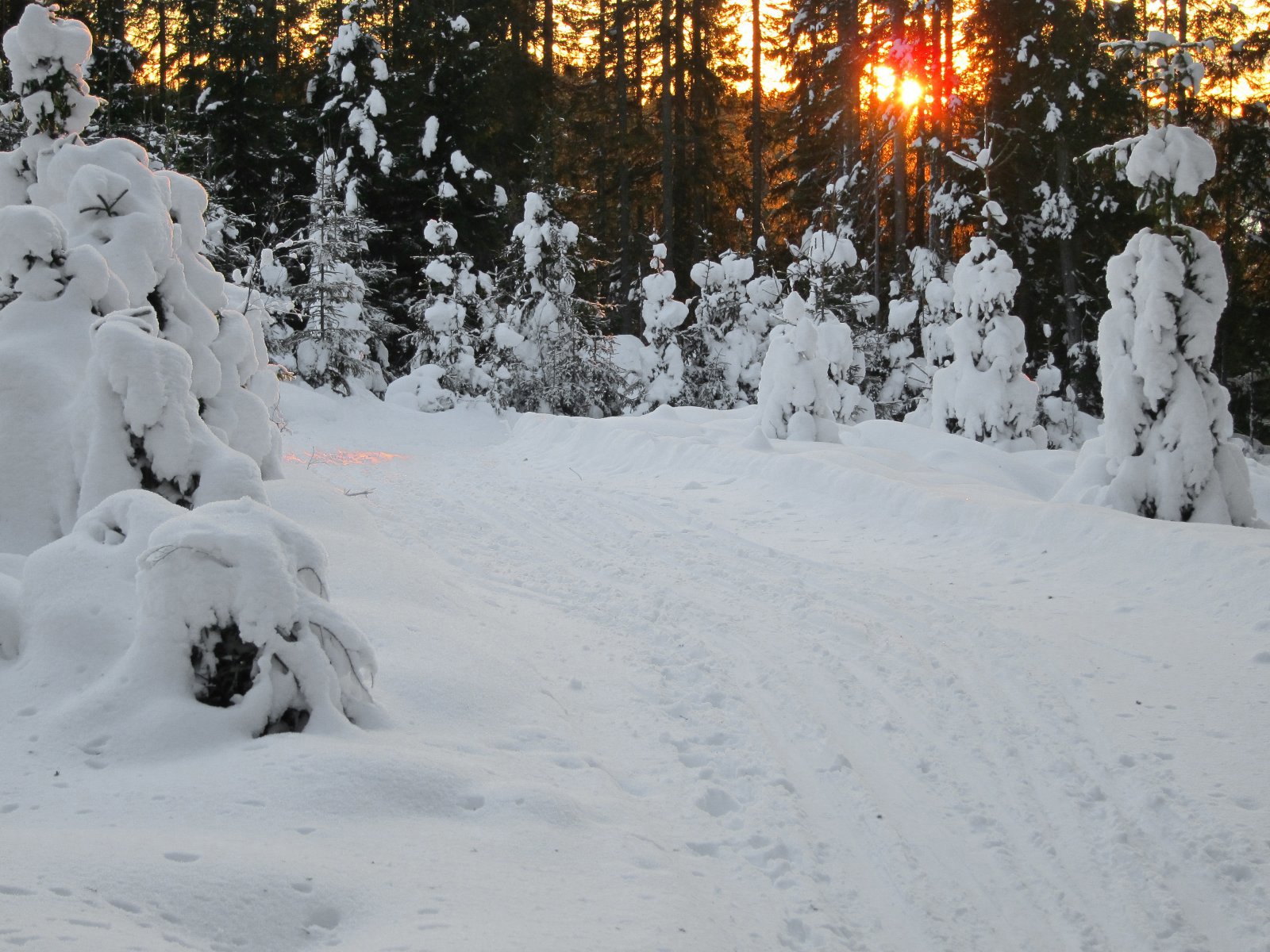 Solnedgang på Minneåsen