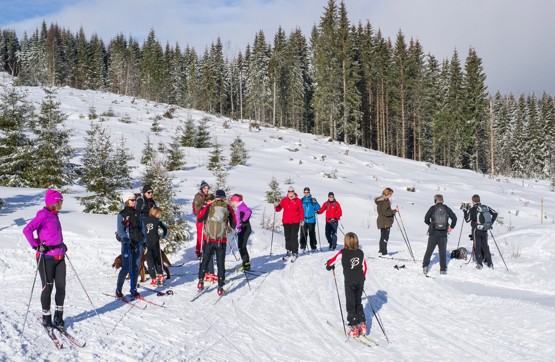 Solpause ved Auretjern