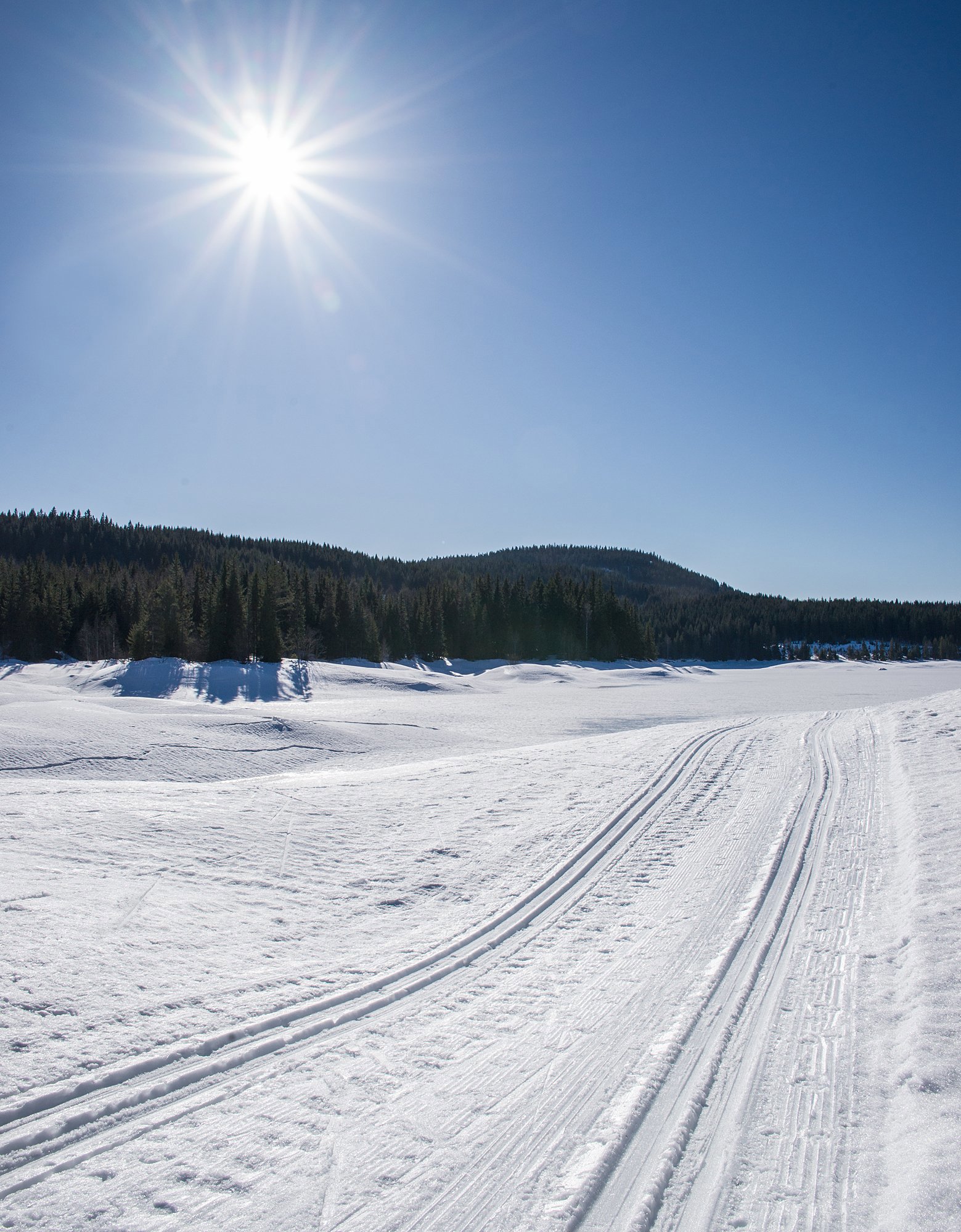 Solrik utgang på Damtjern