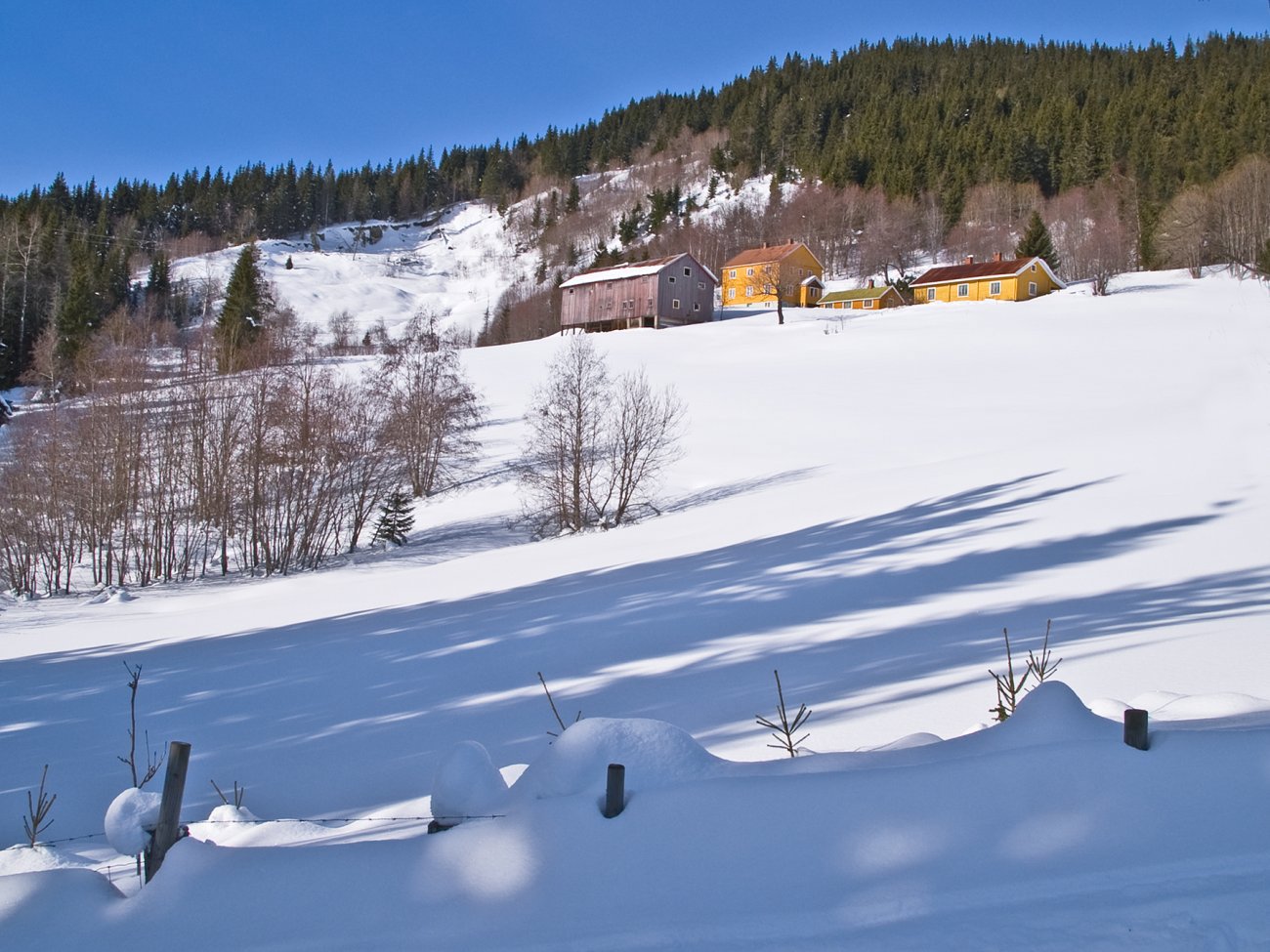 Solskinn over Vestenden