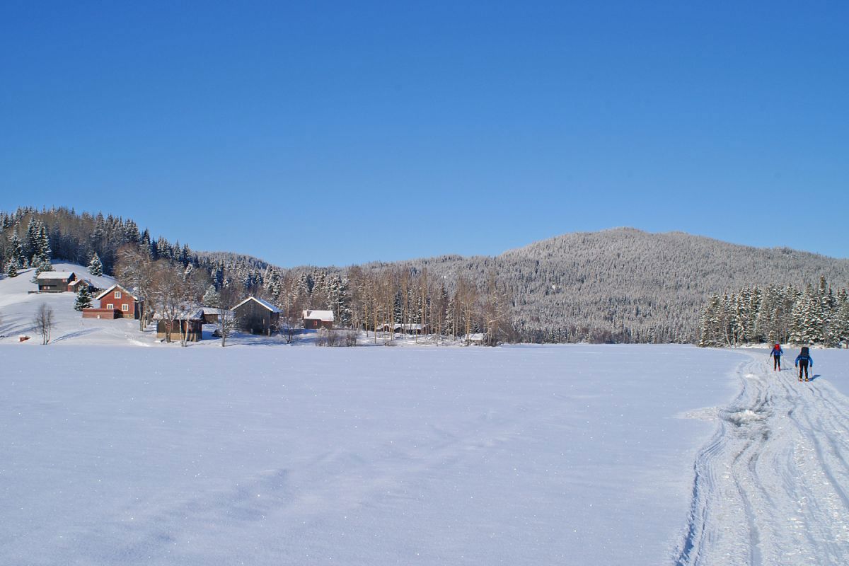 Solskinnsdag på Gjerdingen