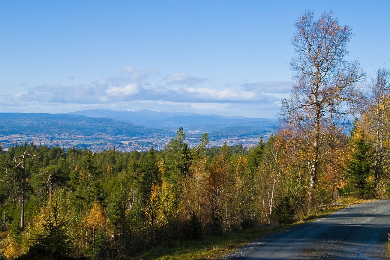 Solskinnsutsikt fra Høgåsen