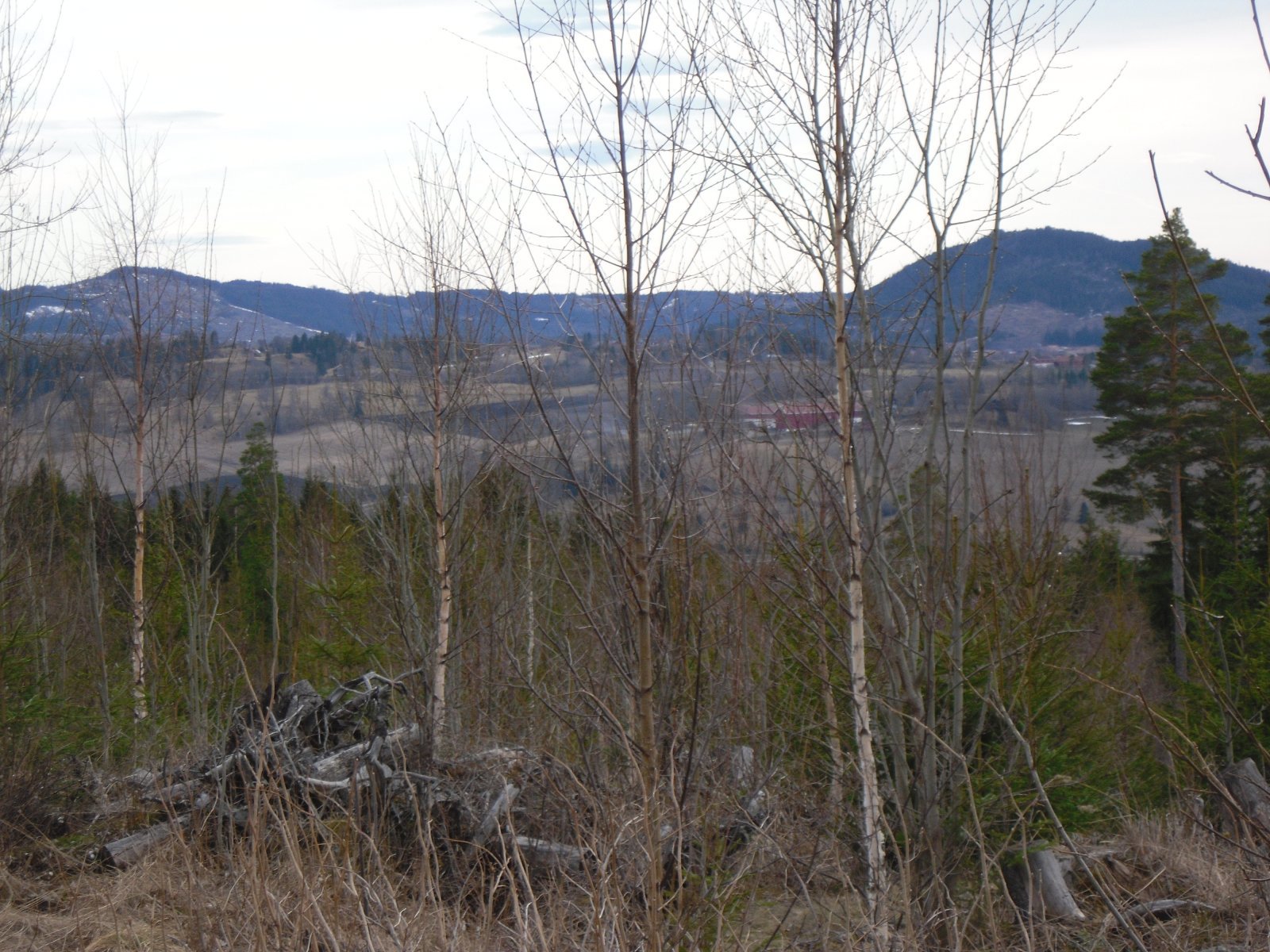 Sølvsberget og Buhamaren