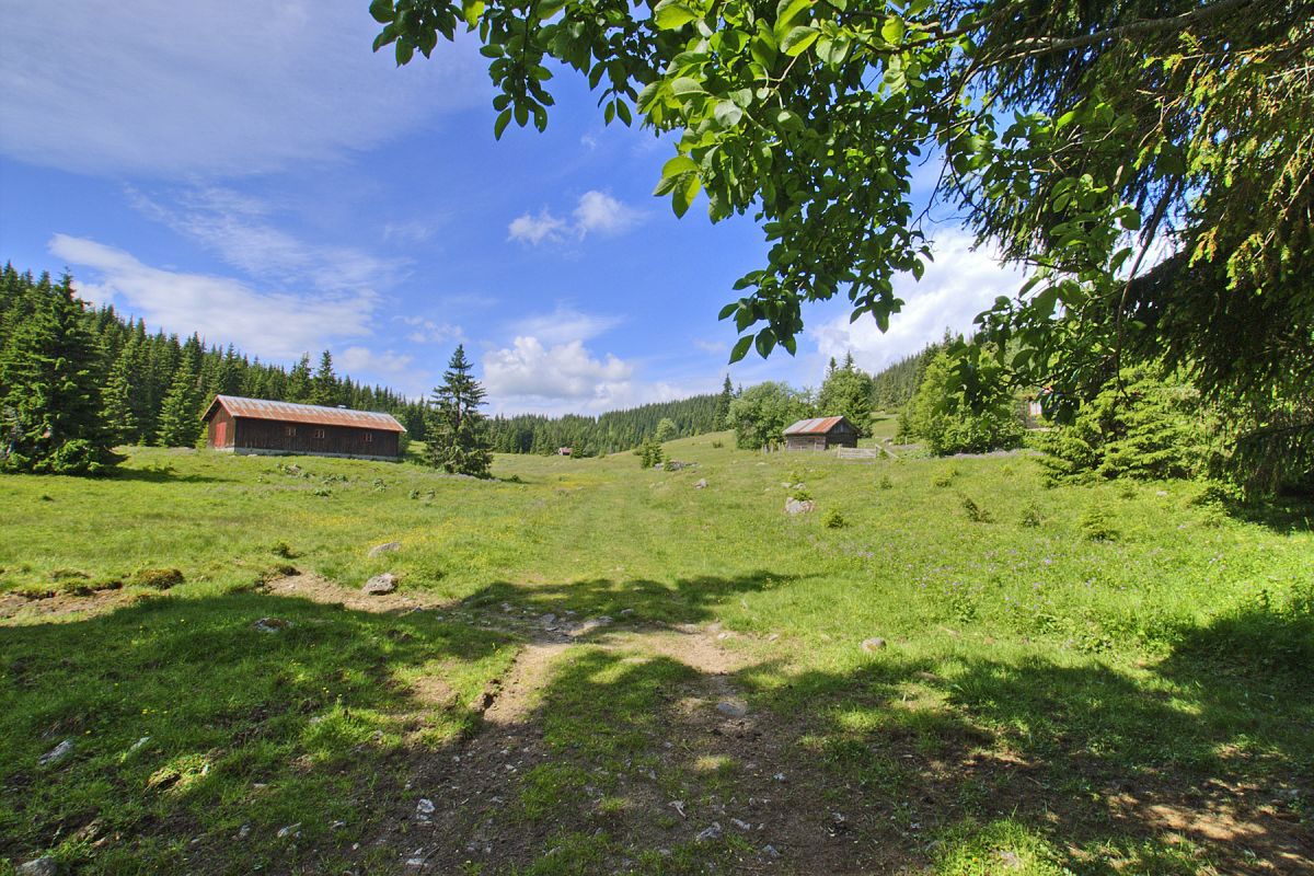 Sommer på Sinnerseter