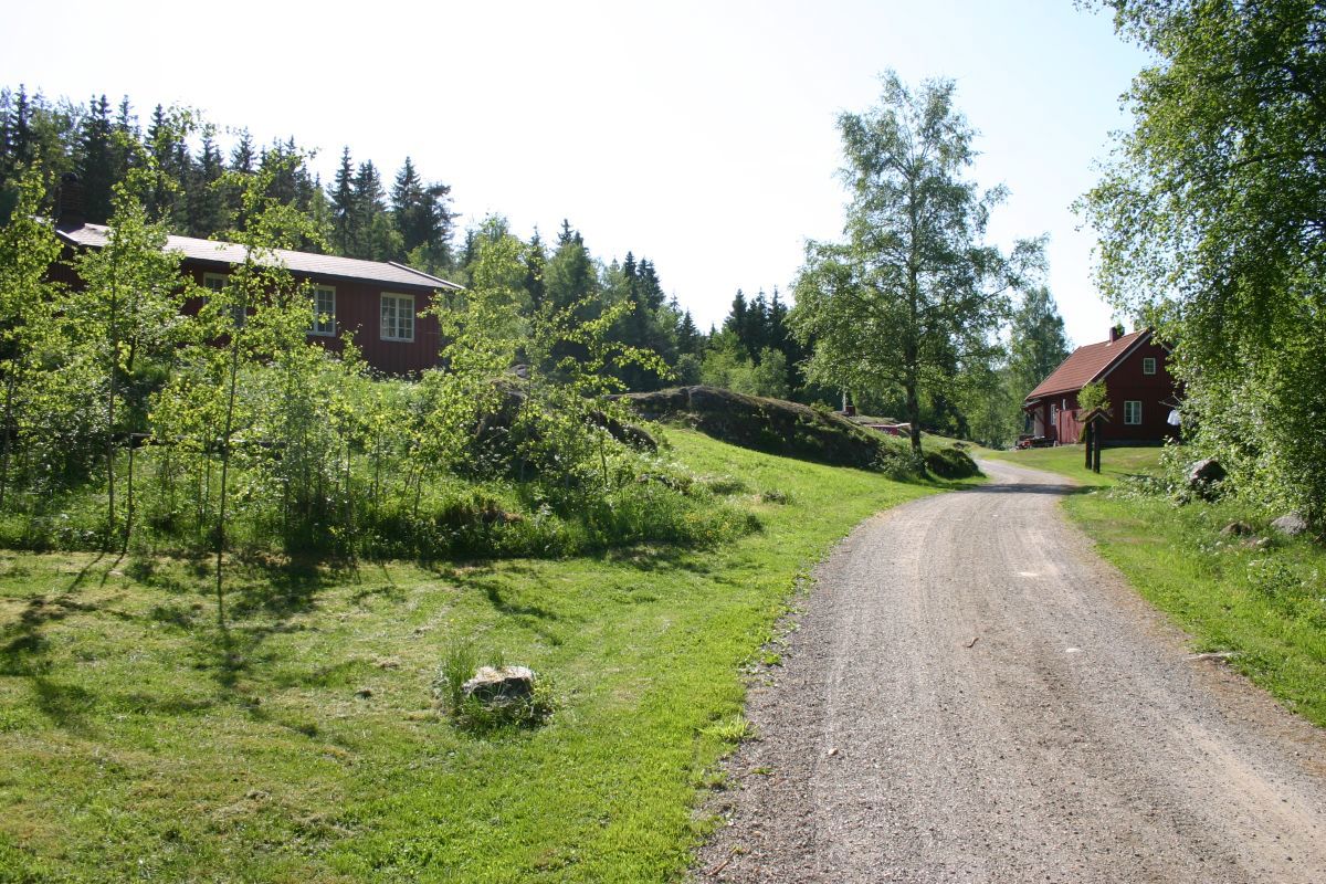 Sommer på Skjelbreia