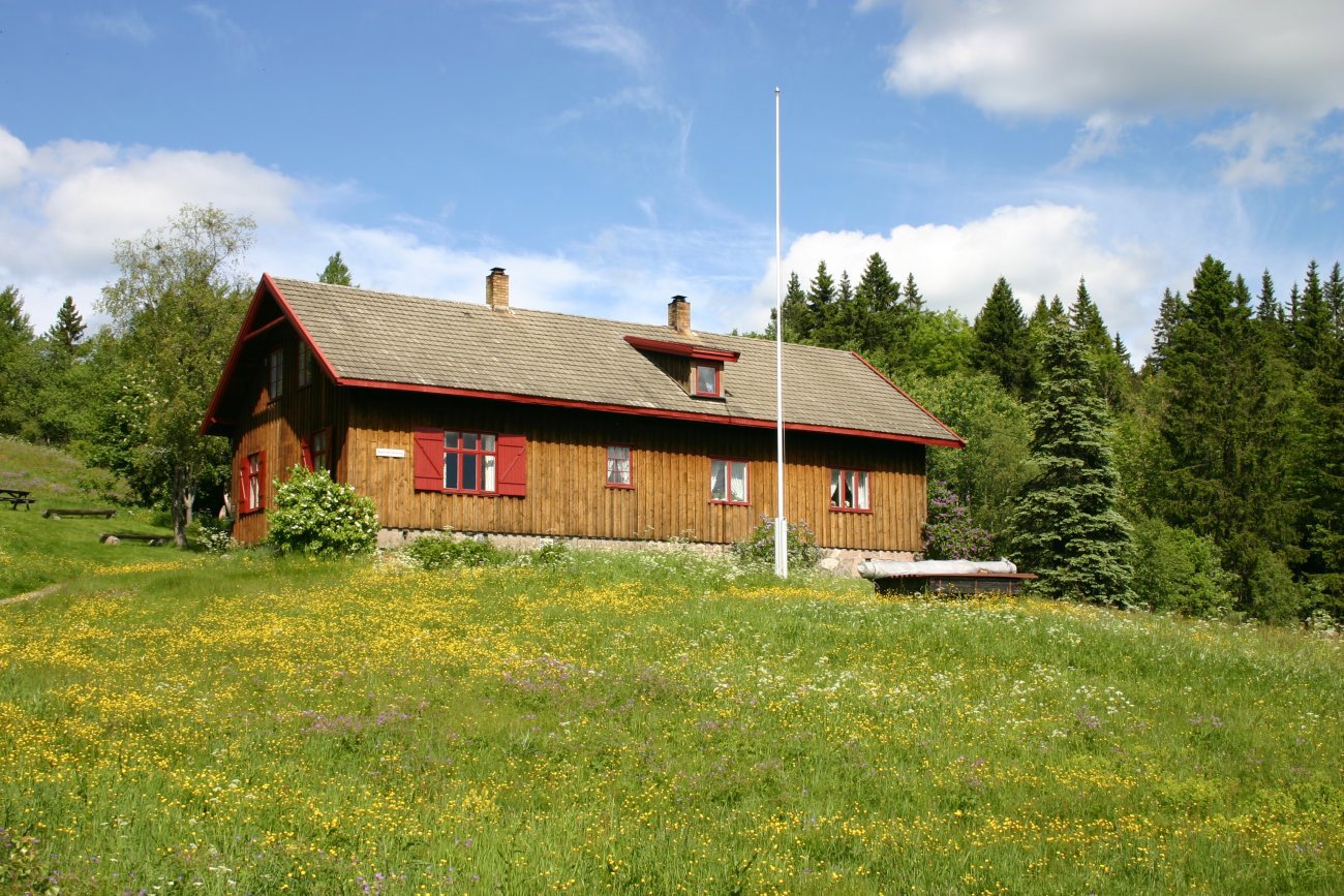 Sommer på Sørskogen