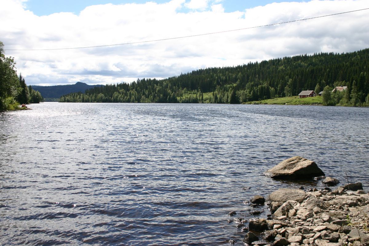 Sommer ved Sandungskalven