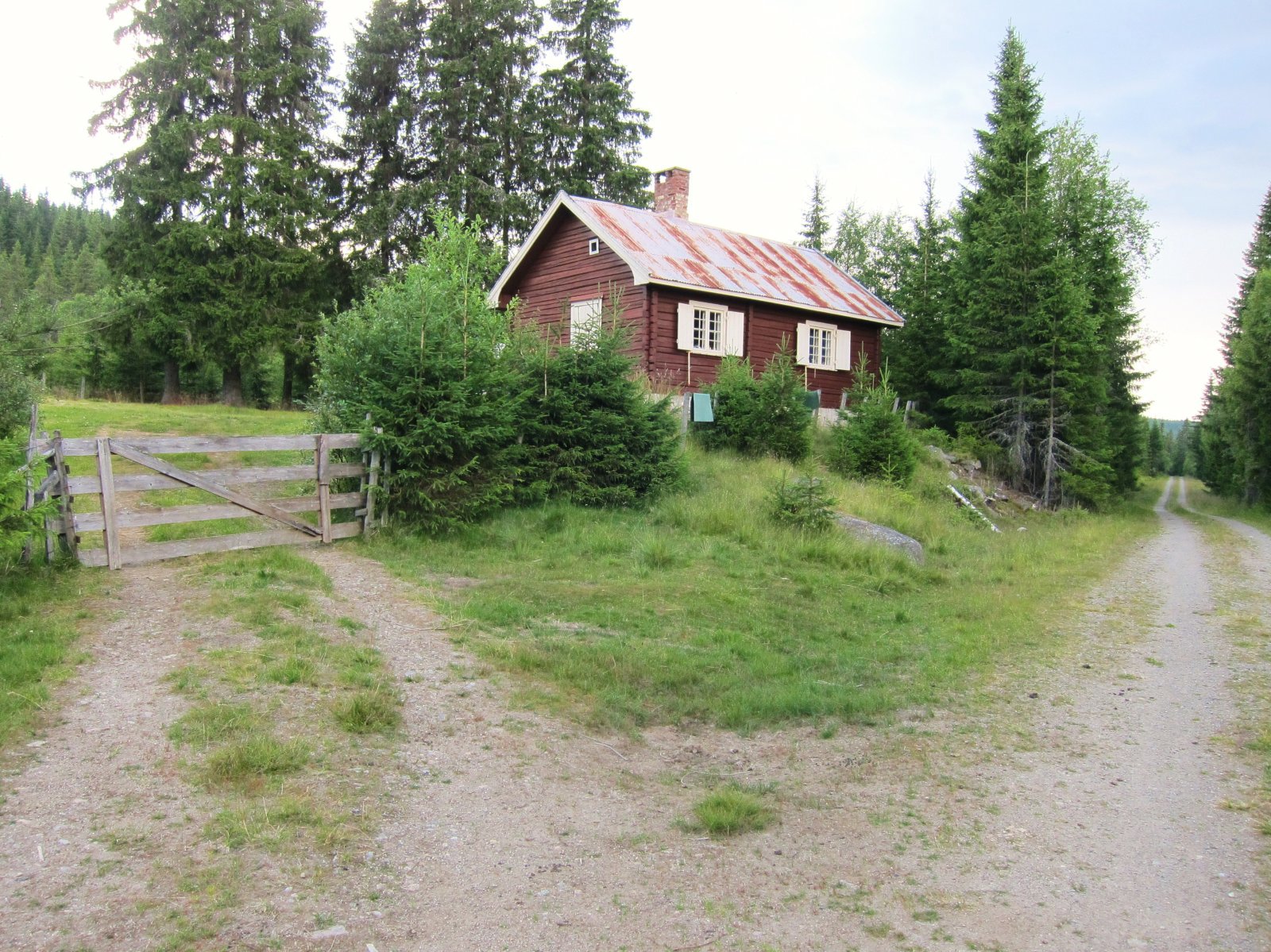 Sommer ved Svartungstua