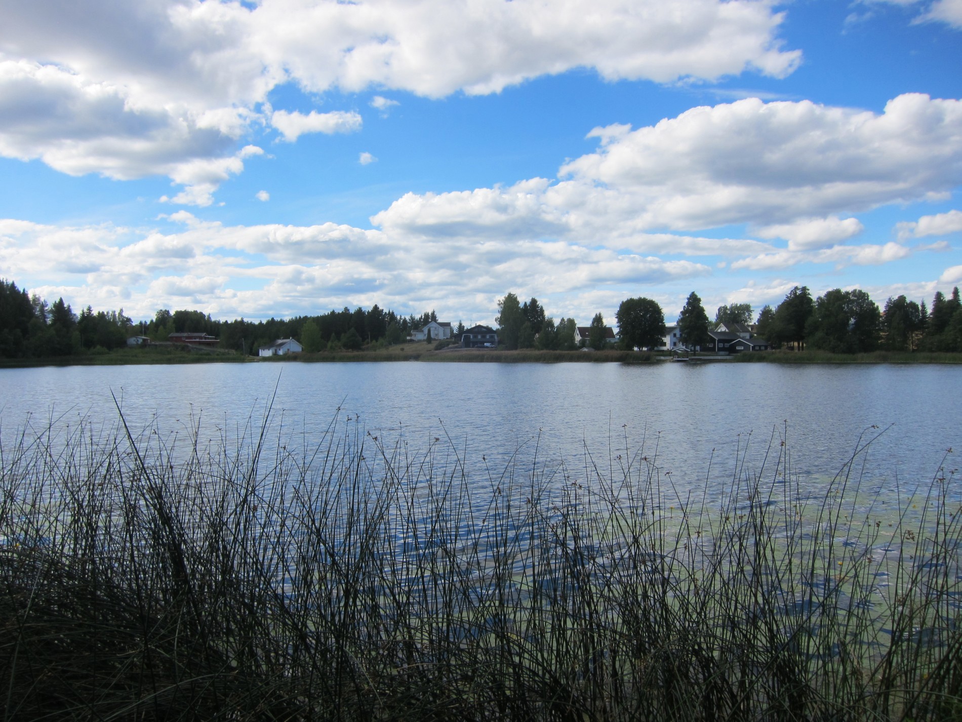 Sommerdag ved Grunningen