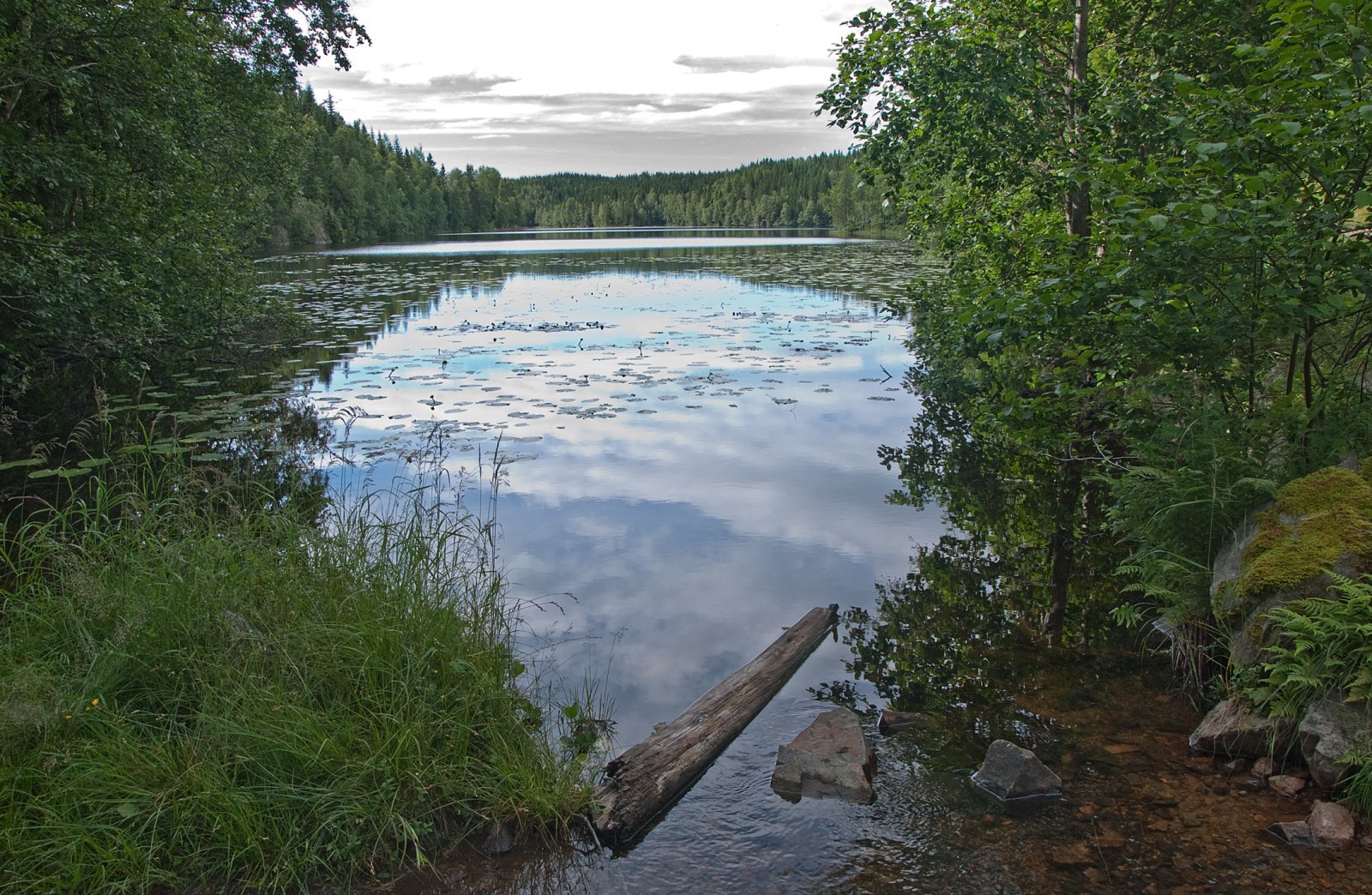 Sommerdag ved Holtjennet