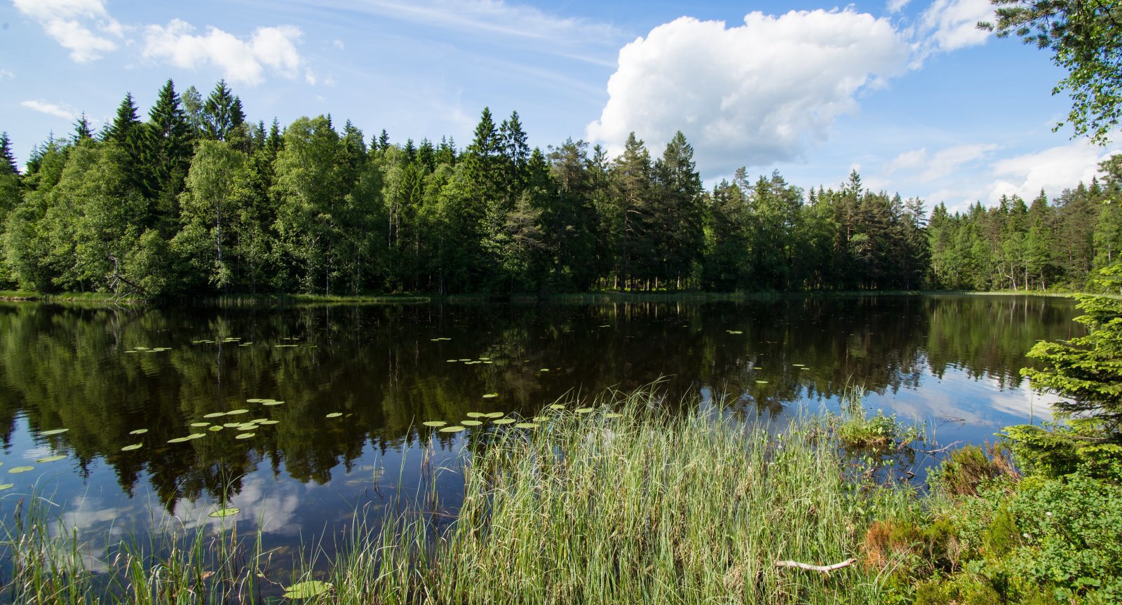 Sommerdag ved Setertjern