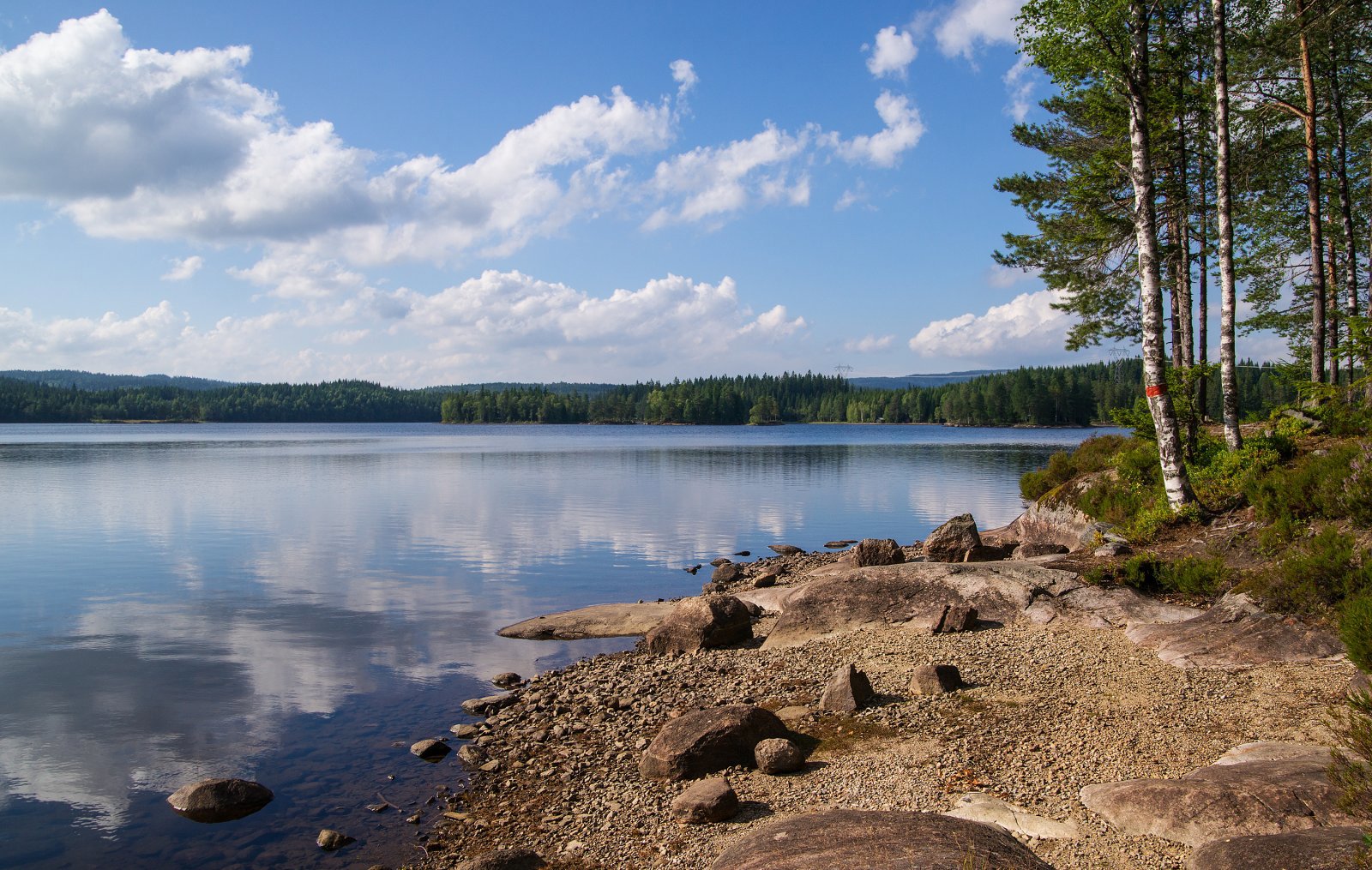 Sommerfølelse ved Elvann