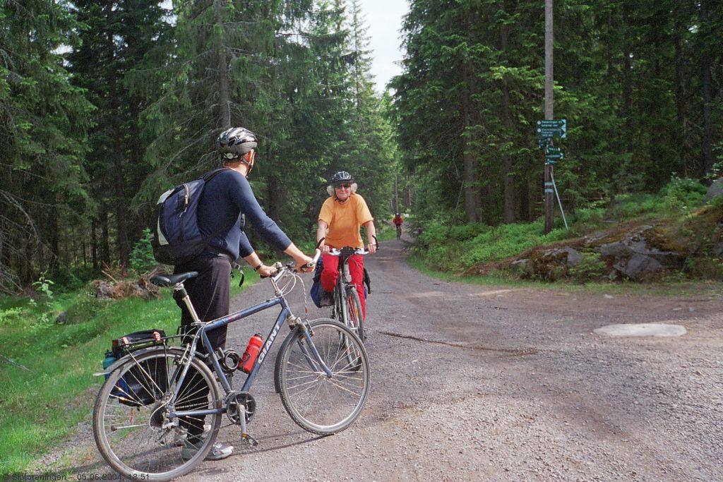 Sommerkveldsykkeltur 04: Veikryss. Skiforeningens skilt er fine å ha.