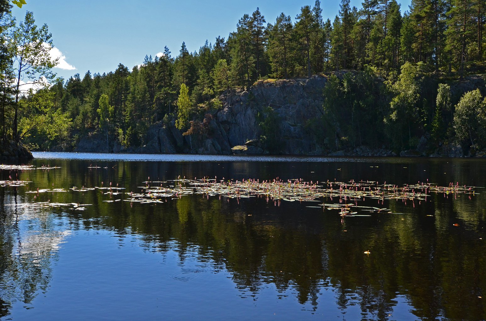 Sør-Elvåga: stup og vass-slirekne