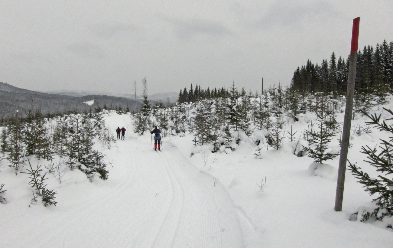 Sørkedalen på langs