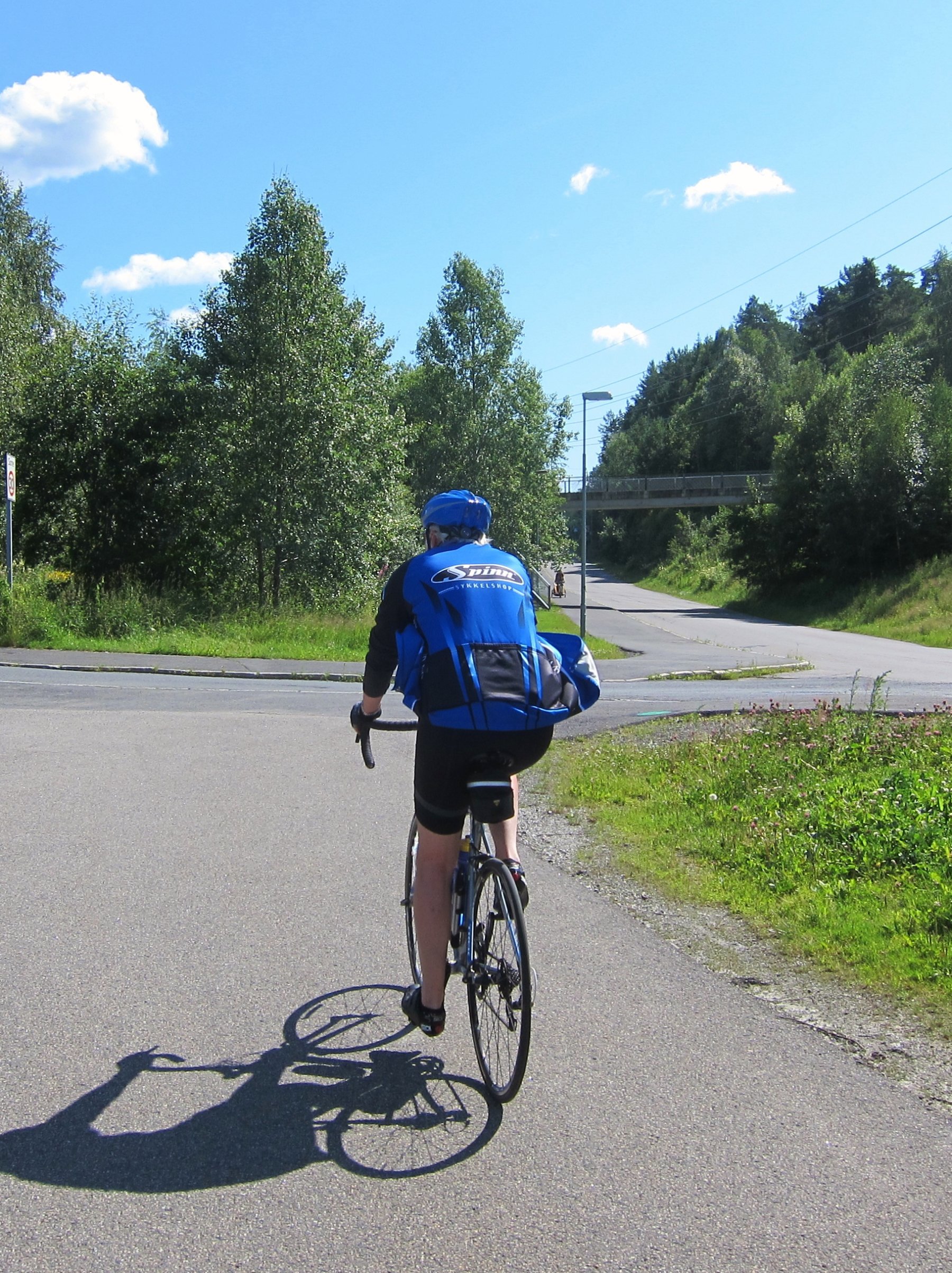 Sørover fra Dal/Brenna