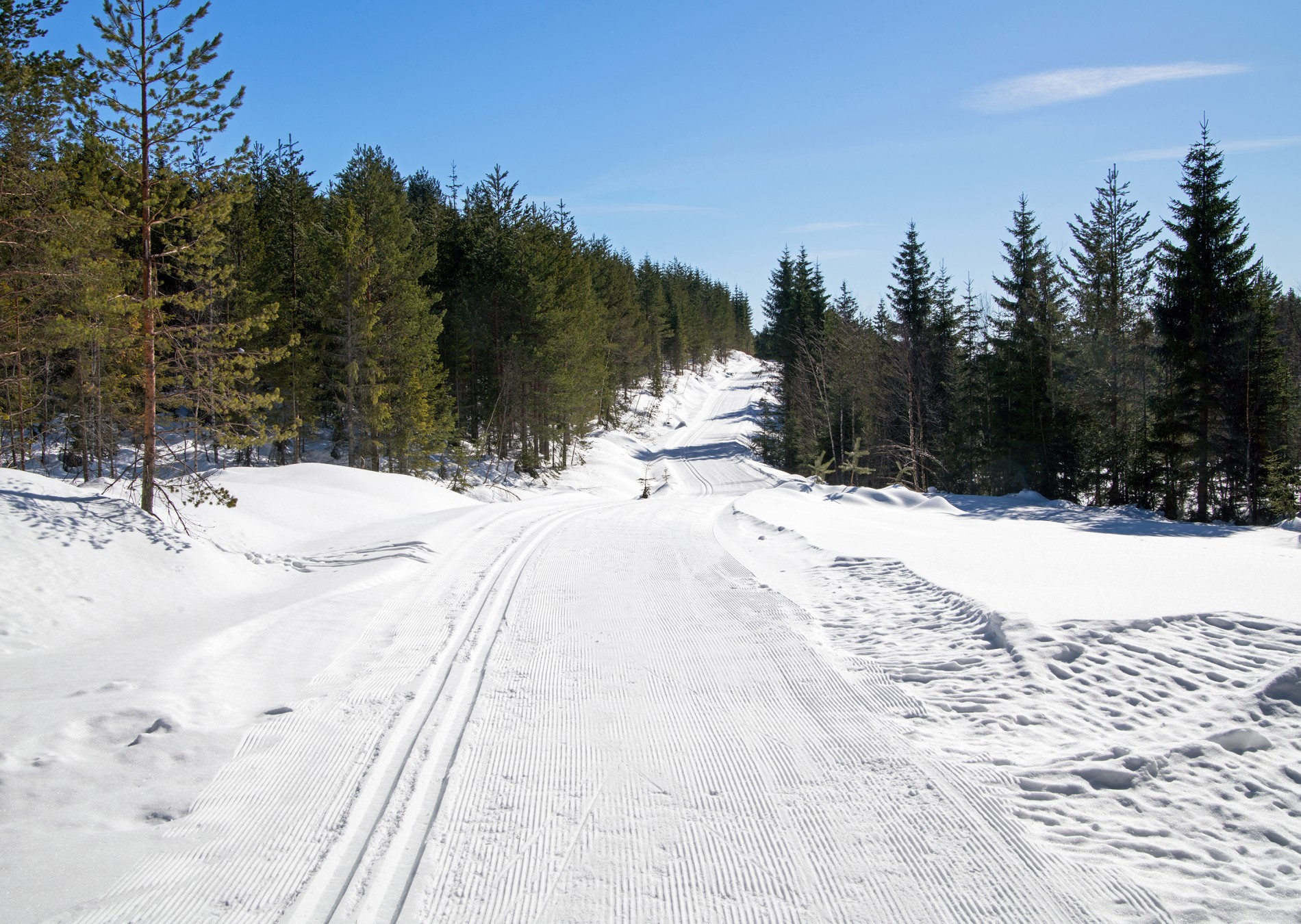 Sørover fra Feviksvangen