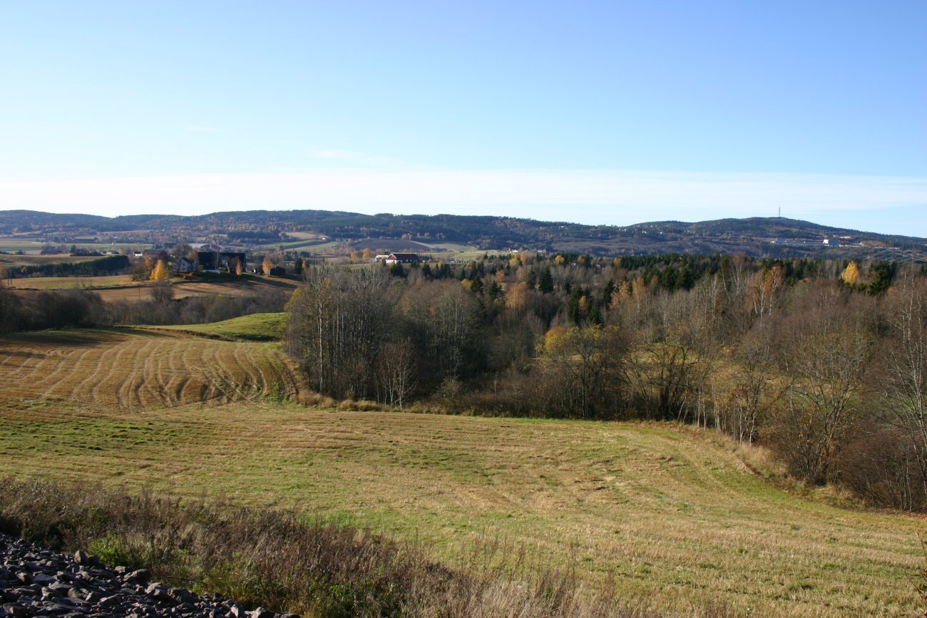 Sørover fra Ringnes
