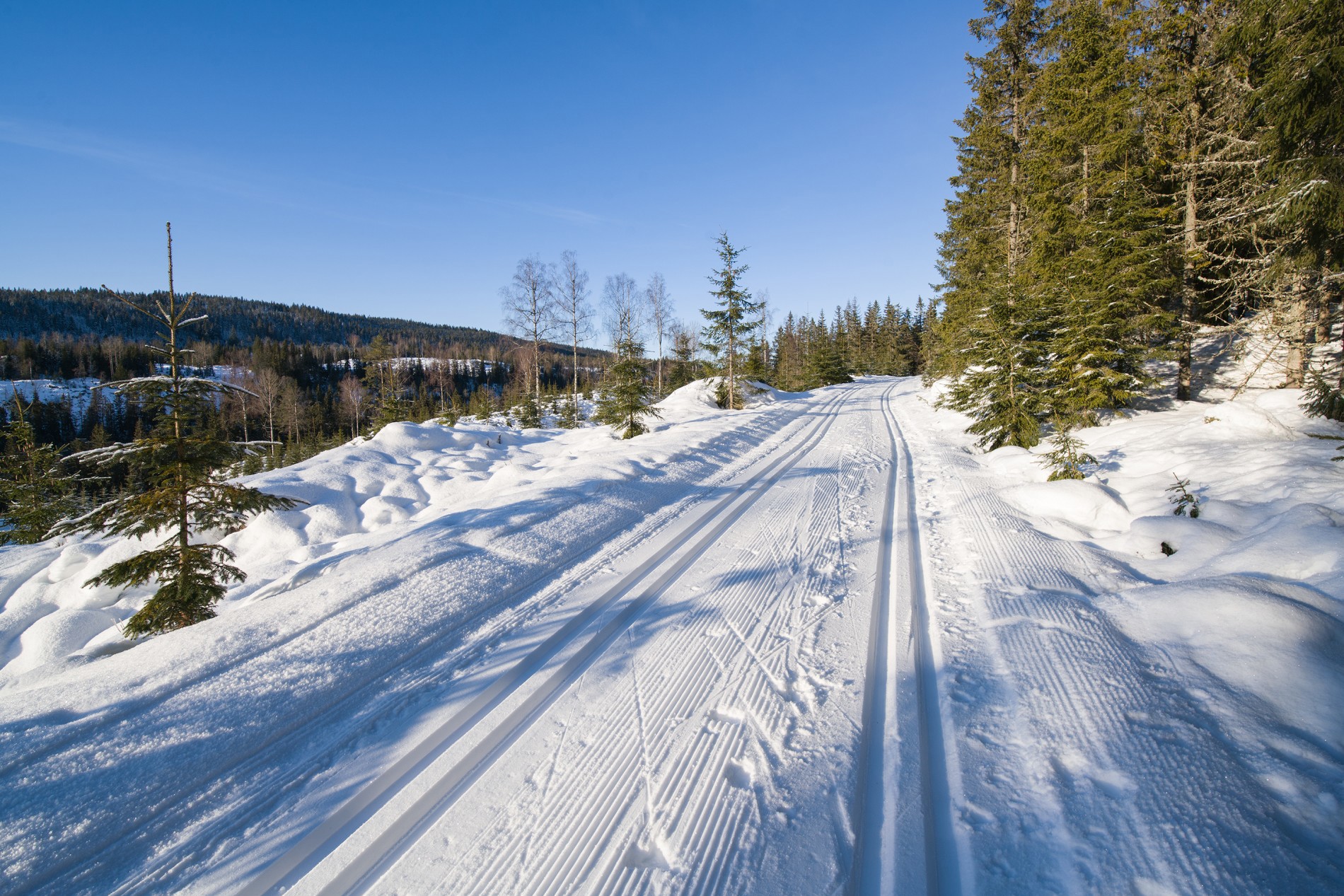 Soterudløypa – et rolig alternativ