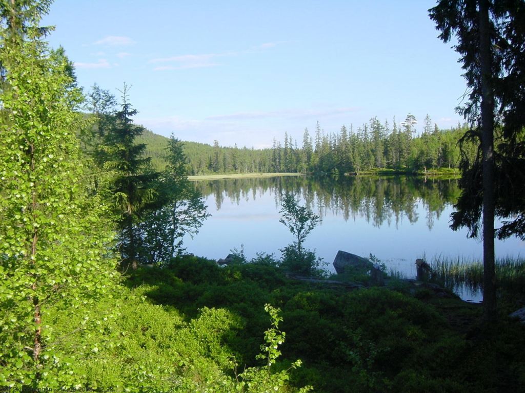 Speilblank junidag på Ølja