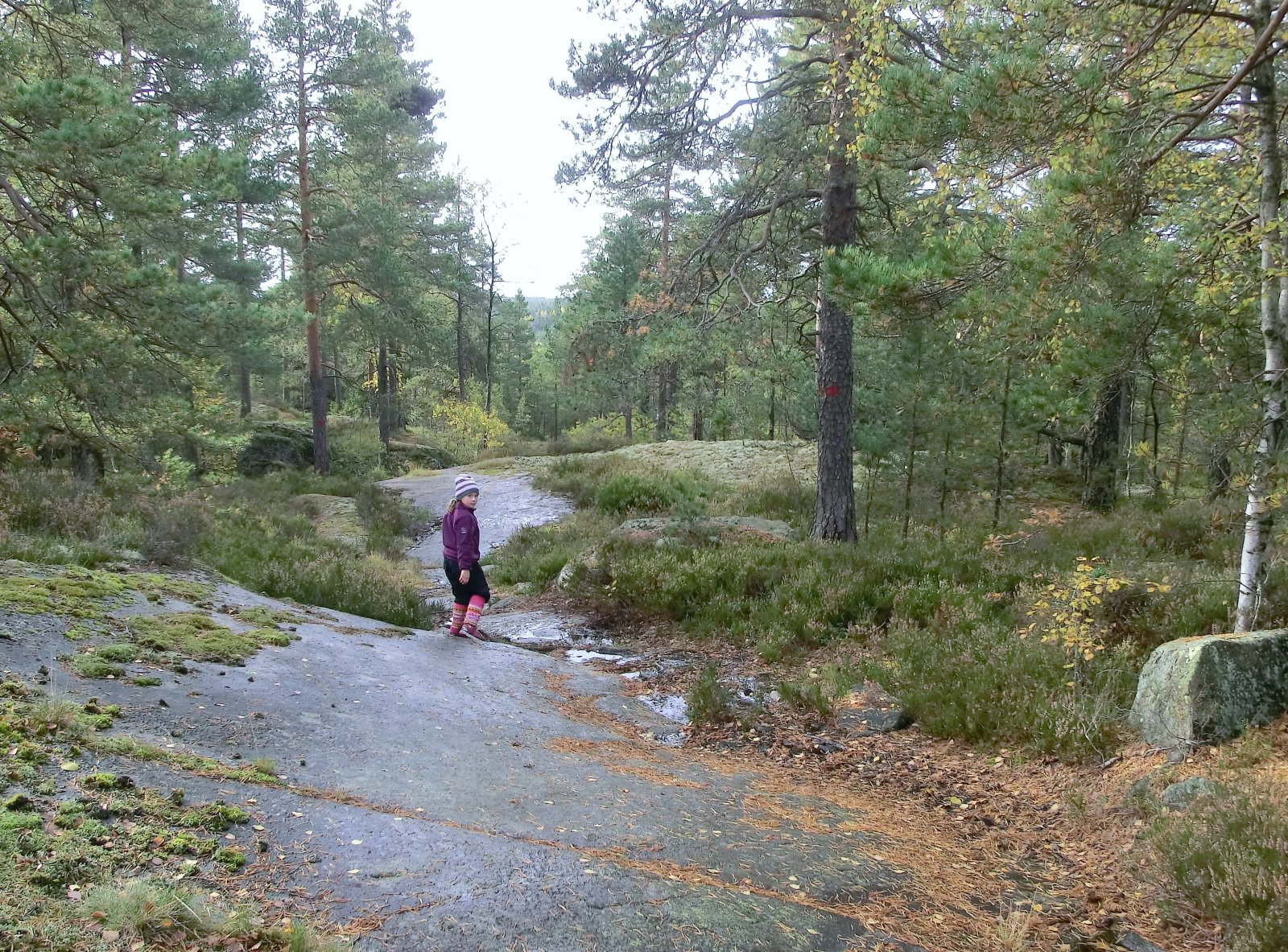 Spennende villmark i Nesoddens indre