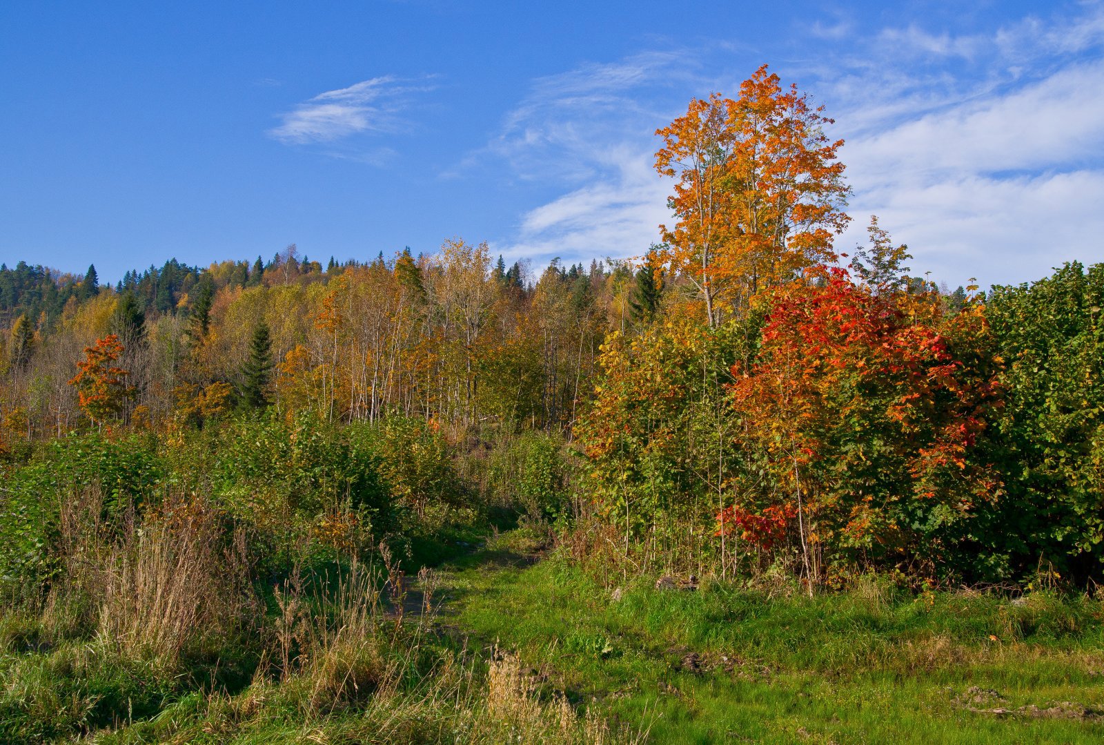 Sprakende farger ved Stein gård